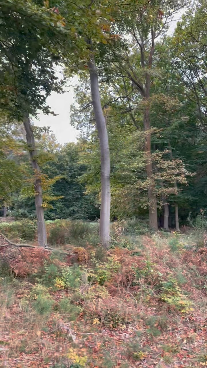 À quelques pas de la maison, nous avons participé à une randonnée champignons organisée par @agv_gite_valnaye avec un spécialiste. Merci à Loïc d’avoir partagé avec nous ces conseils avisés sur ce vaste univers.
#normandie #foretroumare #champignons #mantereligieuse #maisondecampagne #naturelovers
#saintpierredemanneville #weekendauvert #instamoment