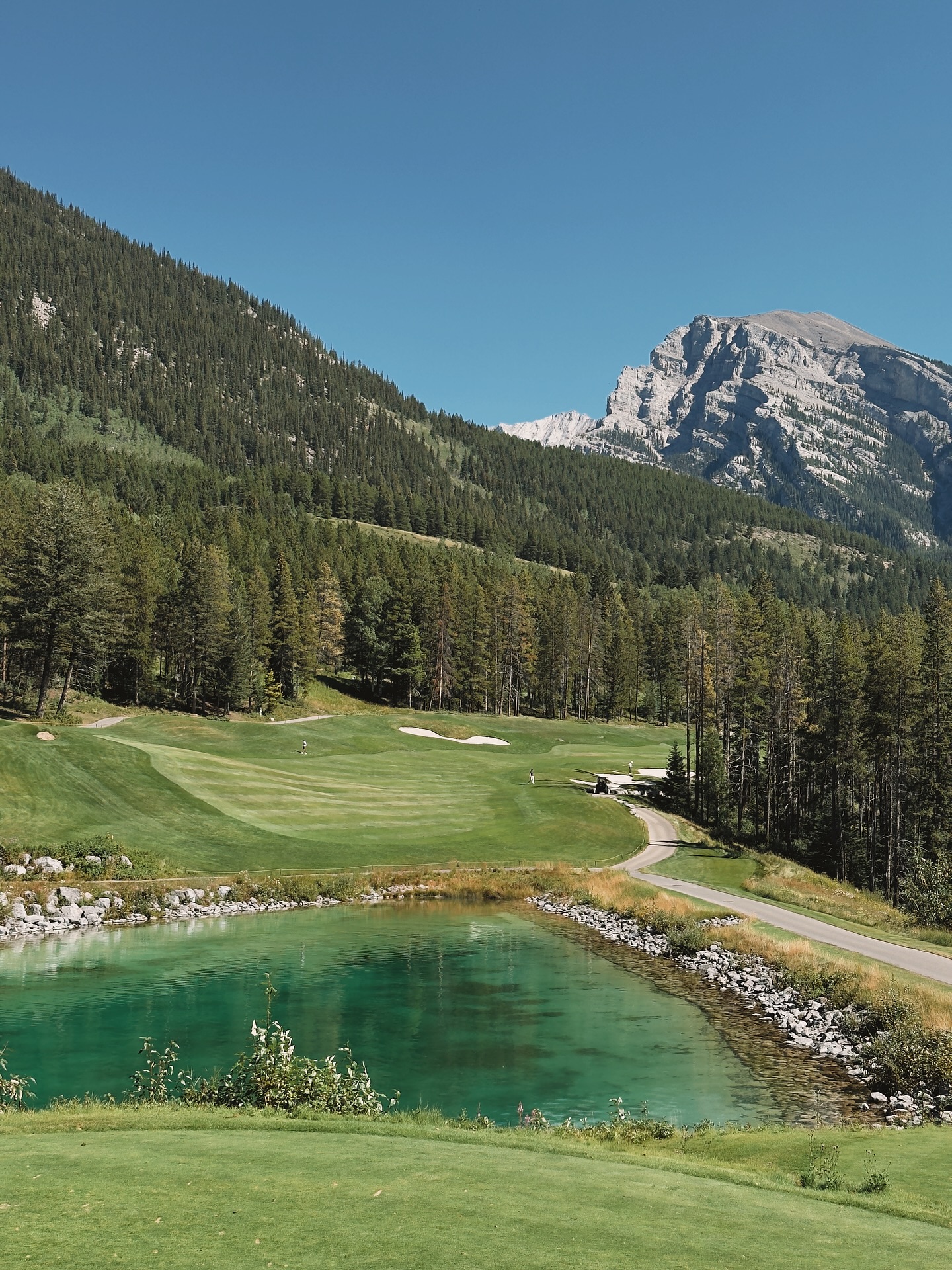 Until next season โณ๏ธ๐๏ธโโ๏ธ