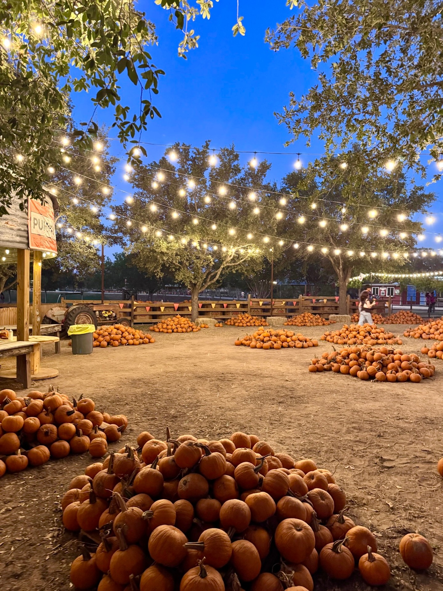 Fall vibes are in the air, y'all! 🎃✨💐
Saturday 10am-8pm
Sunday 10am-6pm
🎟️Limited tickets per day. Book yours for guaranteed entry once we sell out! devineacresfarm.com
