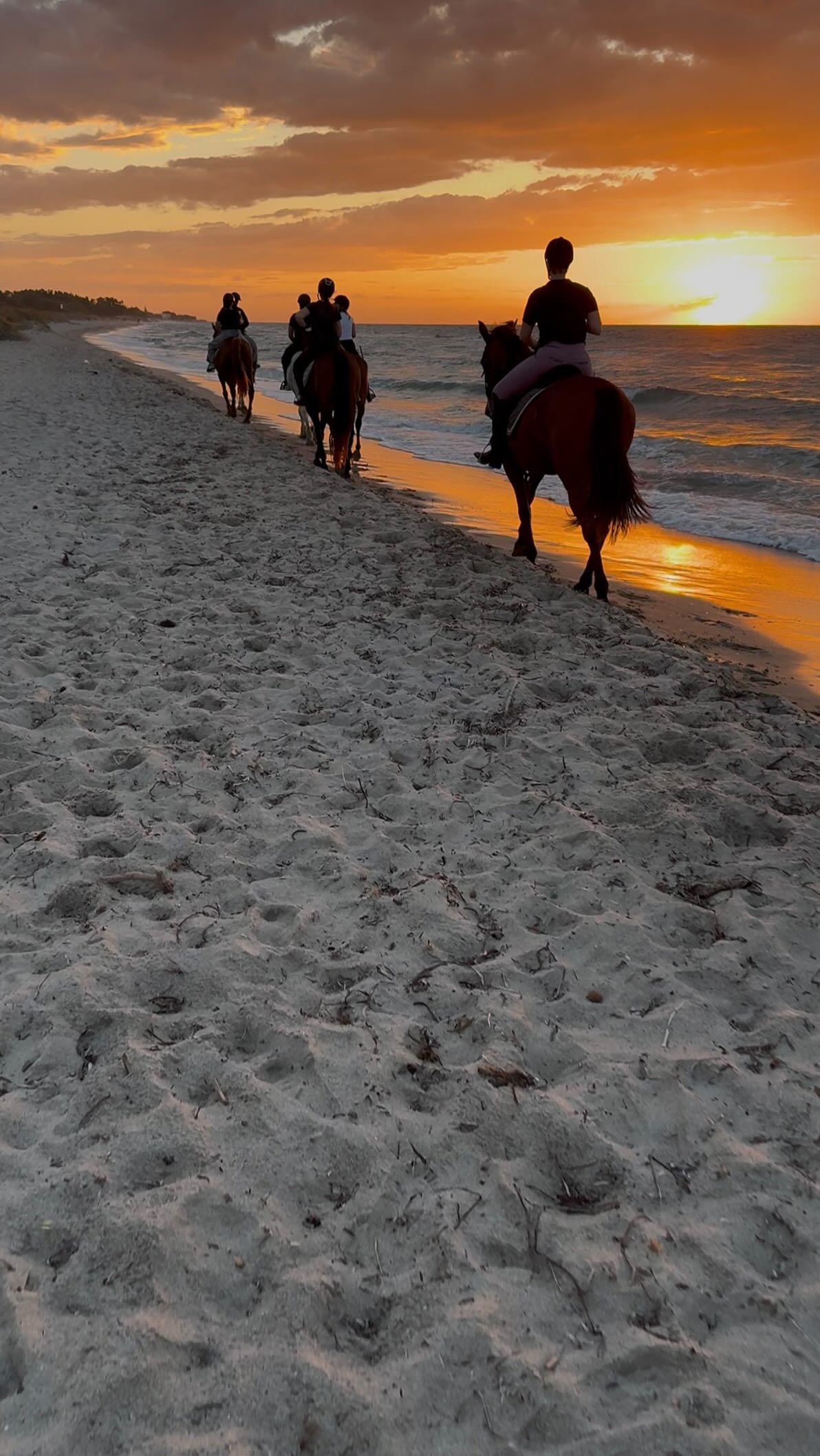 October’s colours 👌
.
.
.
.
.
.
.
#saltlakestables #kos #horsesofinstagram #horseridingkos #kosgreece #bucketlist #sunset #nofilter