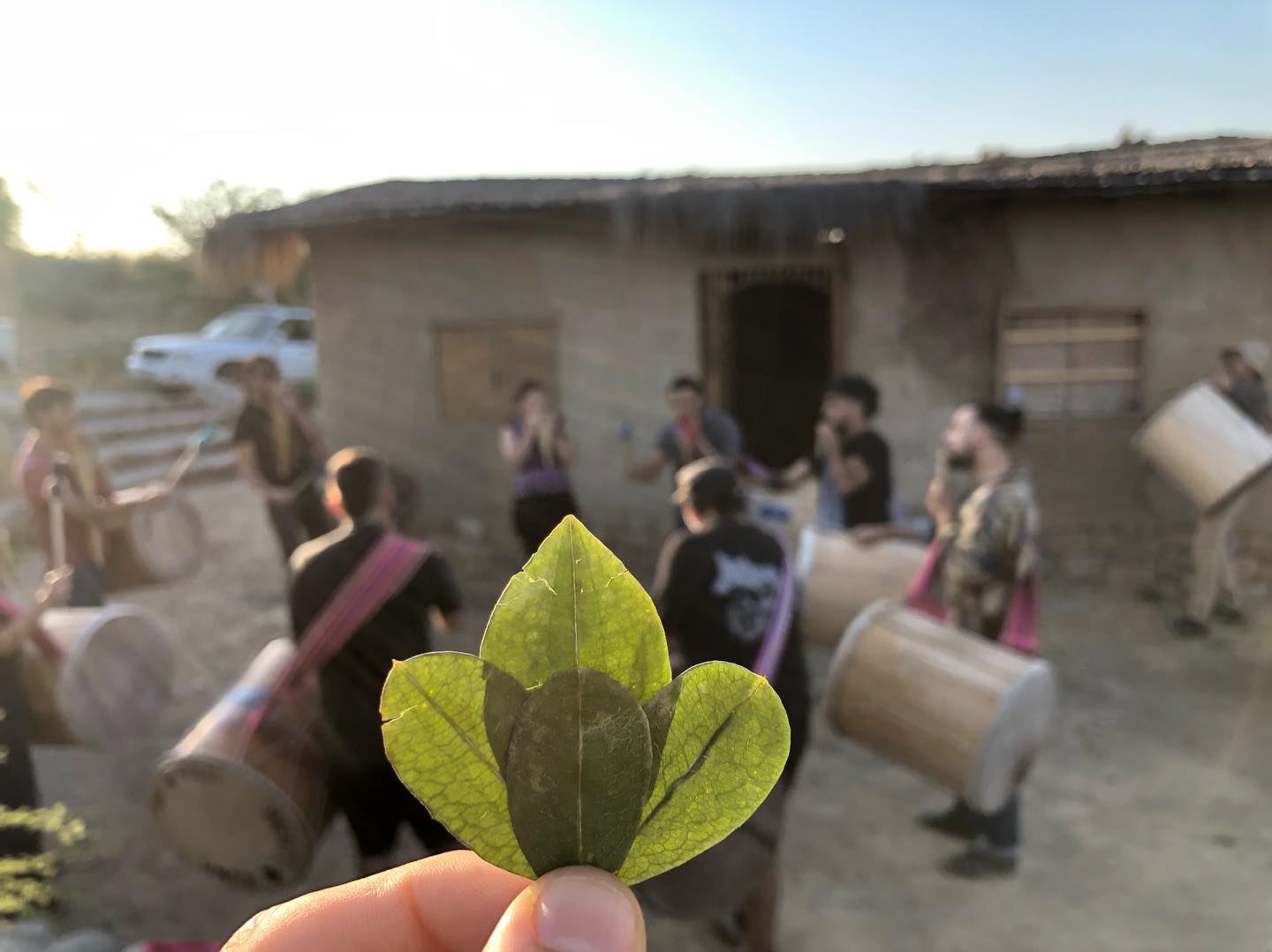 La coca y su gente. Ese tejido invisible que nos une se devela en hilos finos esmeralda que entretejen nuestras vidas, en un mismo rezo, una misma palabra y muchas acciones. De boca en boca la coca nos convoca