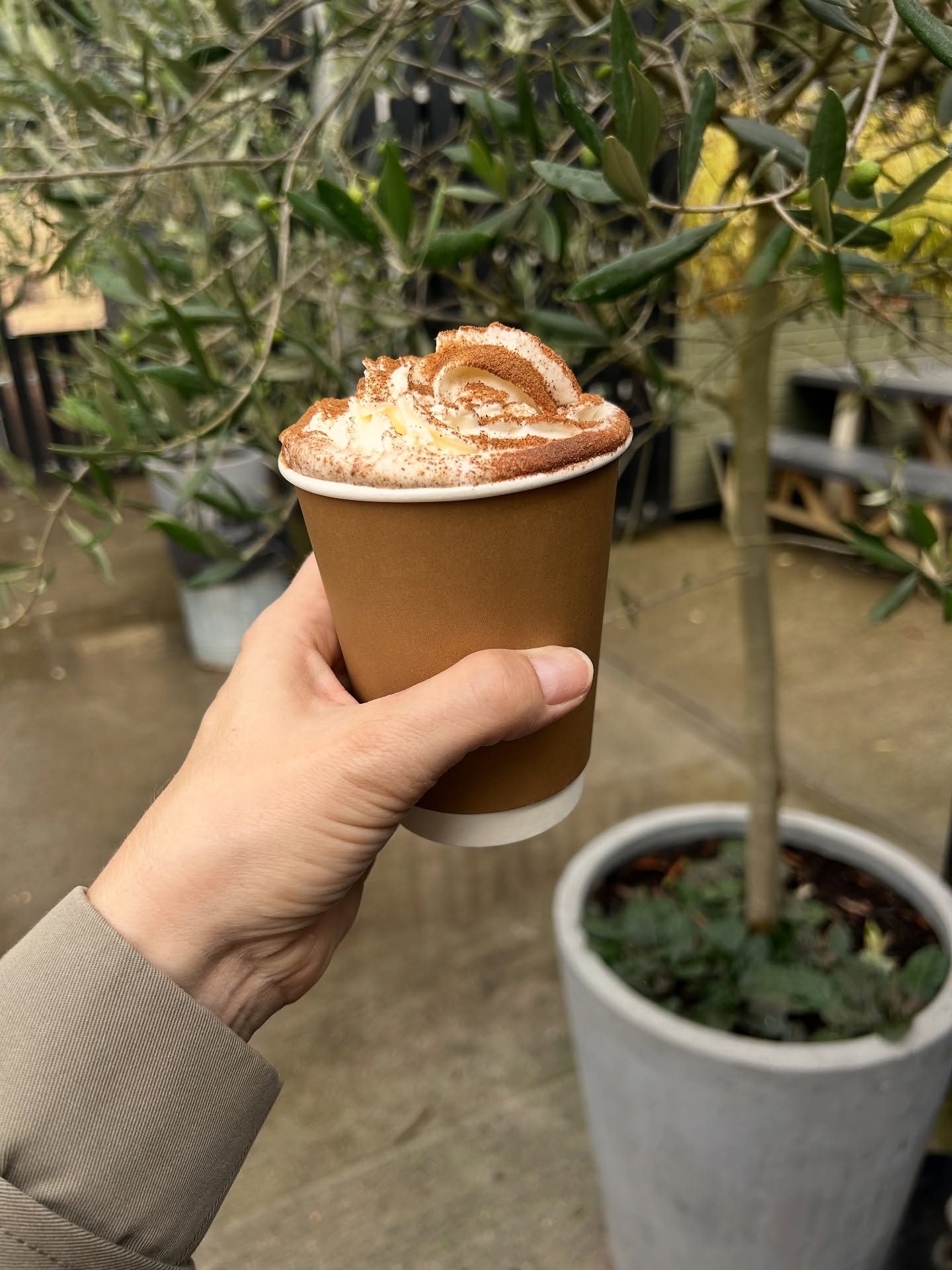Autumn’s here — and so is our Pumpkin Spice Latte. 🍂
We love this time of year. The air’s a little crisper, the trees are turning shades of red, orange and gold, and every walk feels like a moment worth savouring.
Our Pumpkin Spice Latte is back — a cosy blend of Blendsmiths’ natural spices, Curious Roo espresso and creamy Jersey milk, finished with whipped cream.
Because honestly, what’s better than a stroll through Walpole Park followed by one of these?