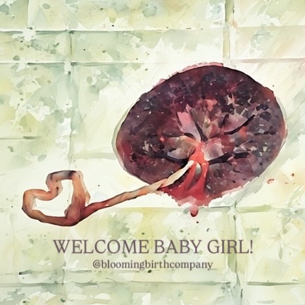 First babies and first time-parents are so special. It is such an honor to witness couples turn into parents, full bellies turn into fuller hearts, and eager waiting into longings fulfilled all for the very first time. Those first connections when everyone is experiencing it all for the first time… truly, just so special. 🤍