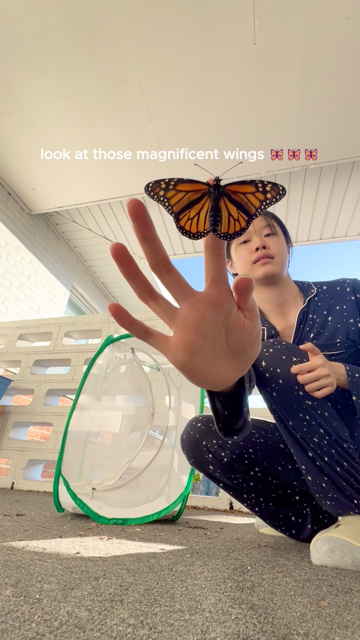 🦋 releasing 6-7 of my tagged monarch butterflies (pt. 2)
⚠️📉 Monarch butterfly populations have declined 80-99% in the past 30 years, making community science more crucial than ever to track the monarch’s migration and survival patterns for conservation planning.
Community science data was used in nearly 20% of monarch-focused research papers between 1940-2014, and in about 67% of field-based monarch research since 2000. 🔍
🫵 Anyone can be a community scientist to collect up-to-date monarch data for researchers — including YOU!
Beyond tagging monarchs (as seen here through the Monarch Watch Tagging Program), community science takes many forms:
👁️ Sighting reports (e.g. Journey North)
🐛 Milkweed & monarch observations (e.g. Monarch Larva Monitoring Program)
📸 Photo identification & observation (e.g. iNaturalist)
…and more!
🏫🗣️ Community science data collection not only helps scientists but also serves as an enriching educational and awareness building activity for schools and communities.
Find the right project that fits you, and let’s metamorphose our world for monarchs together!
#monarchsmatter #monarchbutterflies #monarchbutterfly #youthactivism #communityscience #citizenscience #monarchtagging #raisingbutterflies #environmentalawareness #biodiversityconservation #animalvideos #nativepollinators