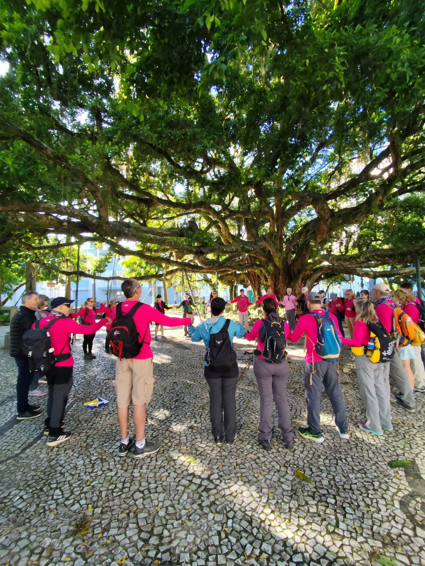 Etapa 1 - Centro de Florianópolis ao Ribeirão da Ilha - 22 km em 5h30. Dada a largada para a XXIV edição Caminho da Ilha. Bom caminho! 👣👣🙌🙏