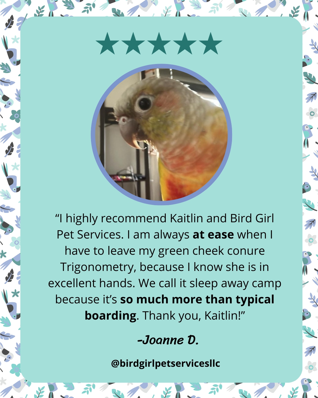 Sometimes you just need to FaceTime with your bird while you're away... and that's exactly what Trig's Mom gets when she goes on extended travel!
Whether pets are here for "sleep away camp" or a only few nights, we always make sure that you and your pets are as comfortable as possible in our care... which can include Facetime check ins, upon request!