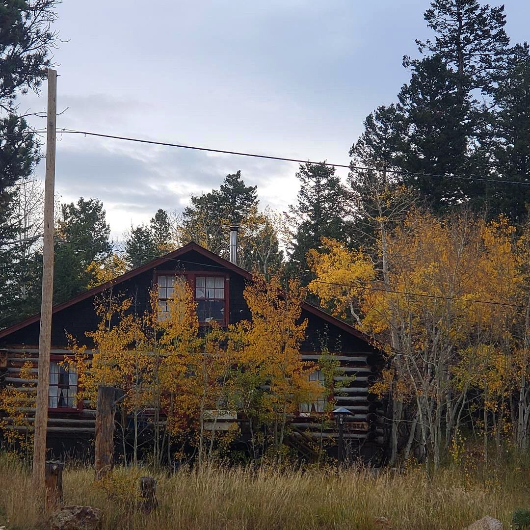 We call it FALLORADO around here. 🍁
.
.
.
#colorado #coloradomountainranch #cmr #fall #mountains #summercamp