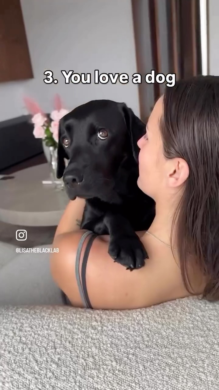 @lisatheblacklab so true ❤️ #blacklab #blacklaboftheday #blacklabsofinstagram #dogmom #dogdad #dogsofinstagram