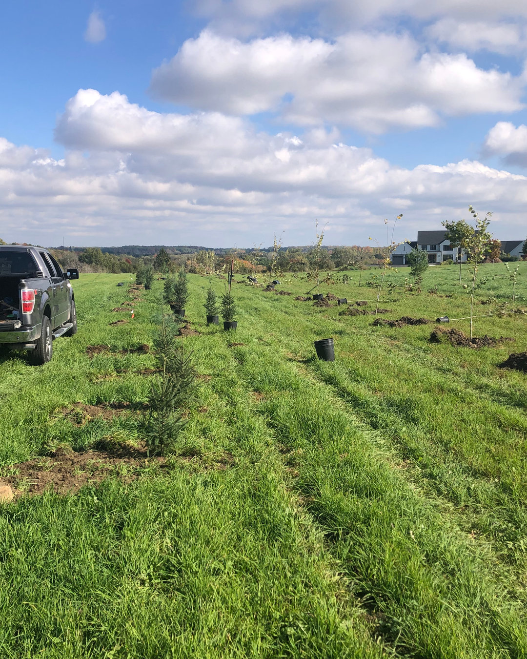 ! Fall Sale!New Species! Shipping October newsletter