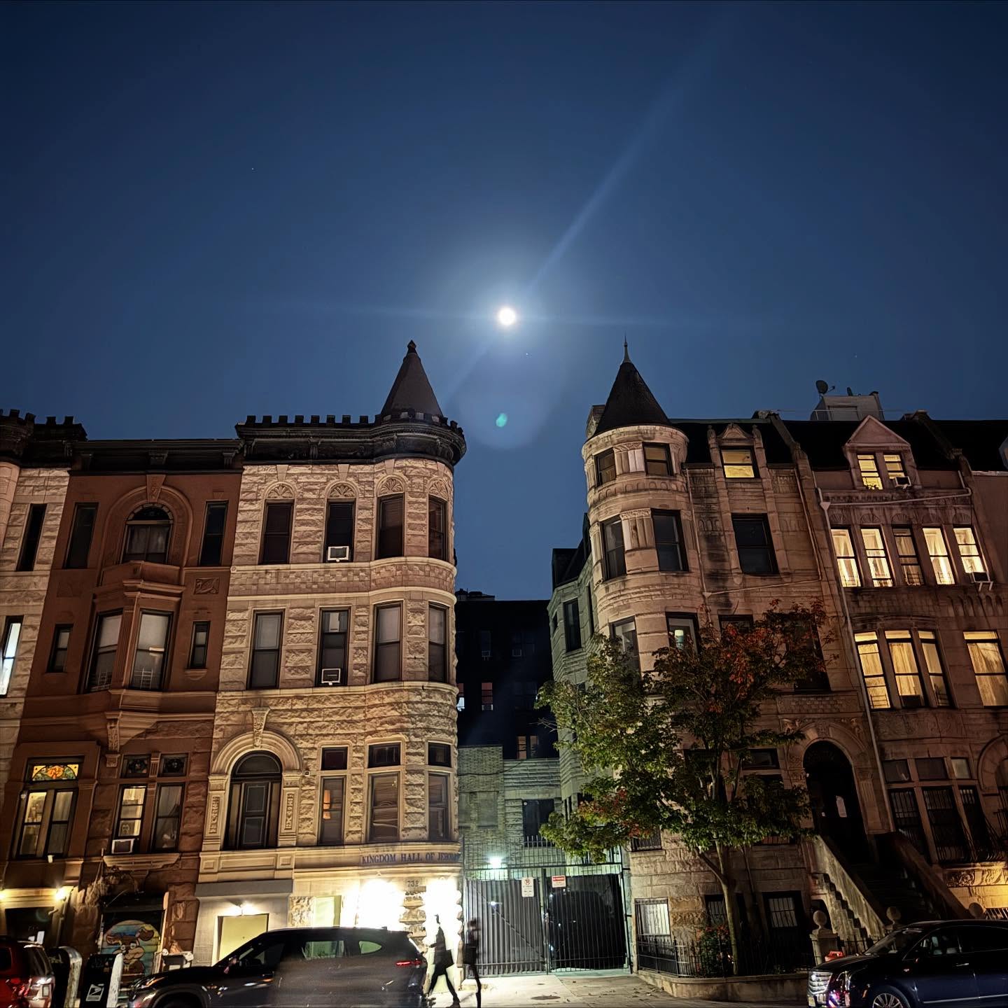 harvest moon shenanigans