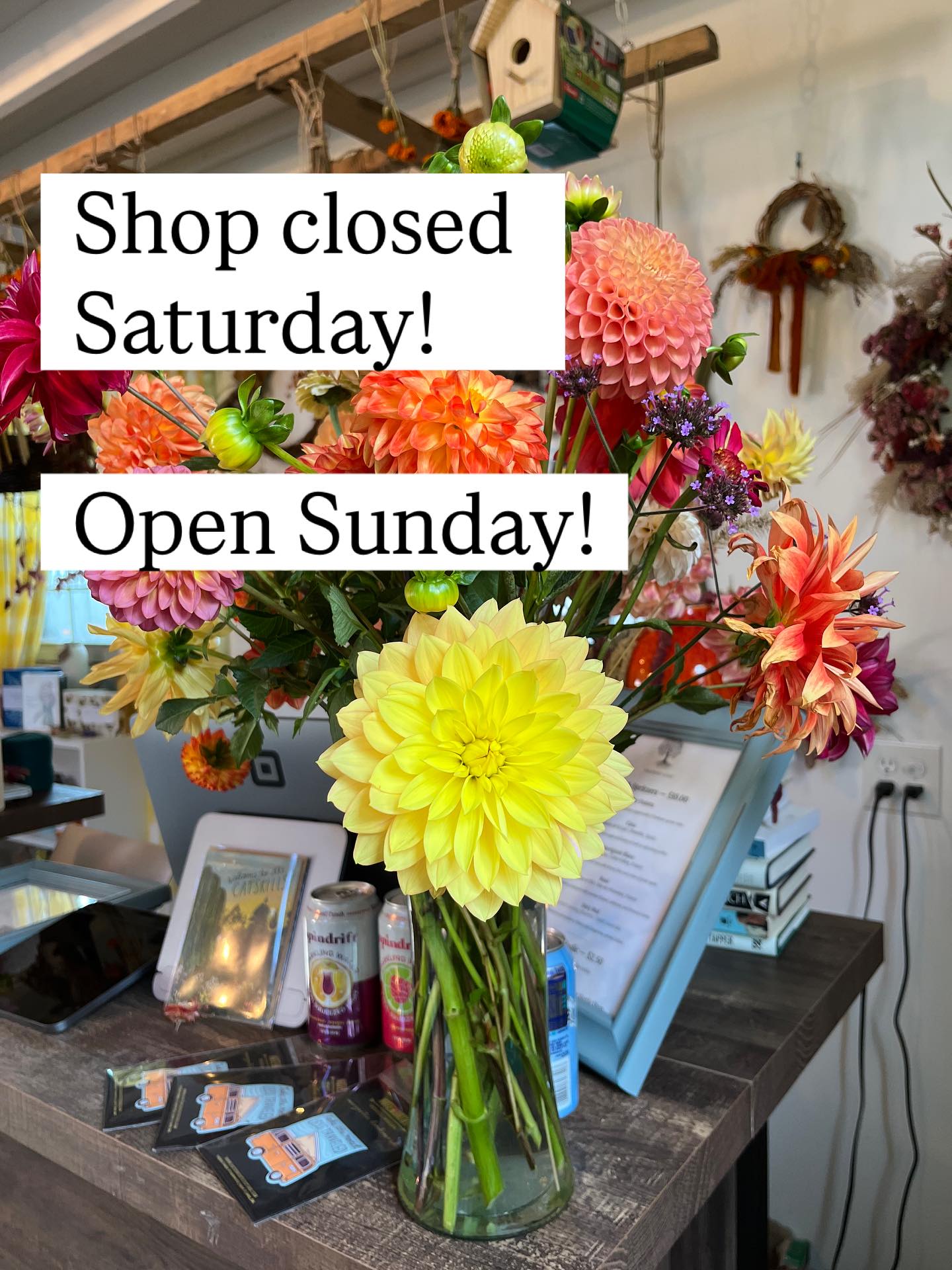 Hey all! We’re closed today (Saturday, October 18th) for two big reasons:
1) We still have 500 dahlias left to dig up to store. (We’re only 1/3 of the way done… 700 in all!)
2) We need a mental health day where we don’t have to be “on.” Melissa has been working on a book proposal and Mark is scoring a film… we’ve been working into the wee hours of the night and we simply need to move at a slower pace today, spending precious time this morning with our Tiny Treehorn before heading out into the field.
We hope to see you tomorrow (Sunday, October 19th)! In the meantime, we’ll be letting it all hang out with messy hair and dirt under our nails, spending time with the ducks and our baby boy, making soup, drinking buckets of tea, and digging, sorting, and storing dahlias.
Left foot, right foot…
#dahlias
#dahlia
#firstyearfarming
#flowersandbooks