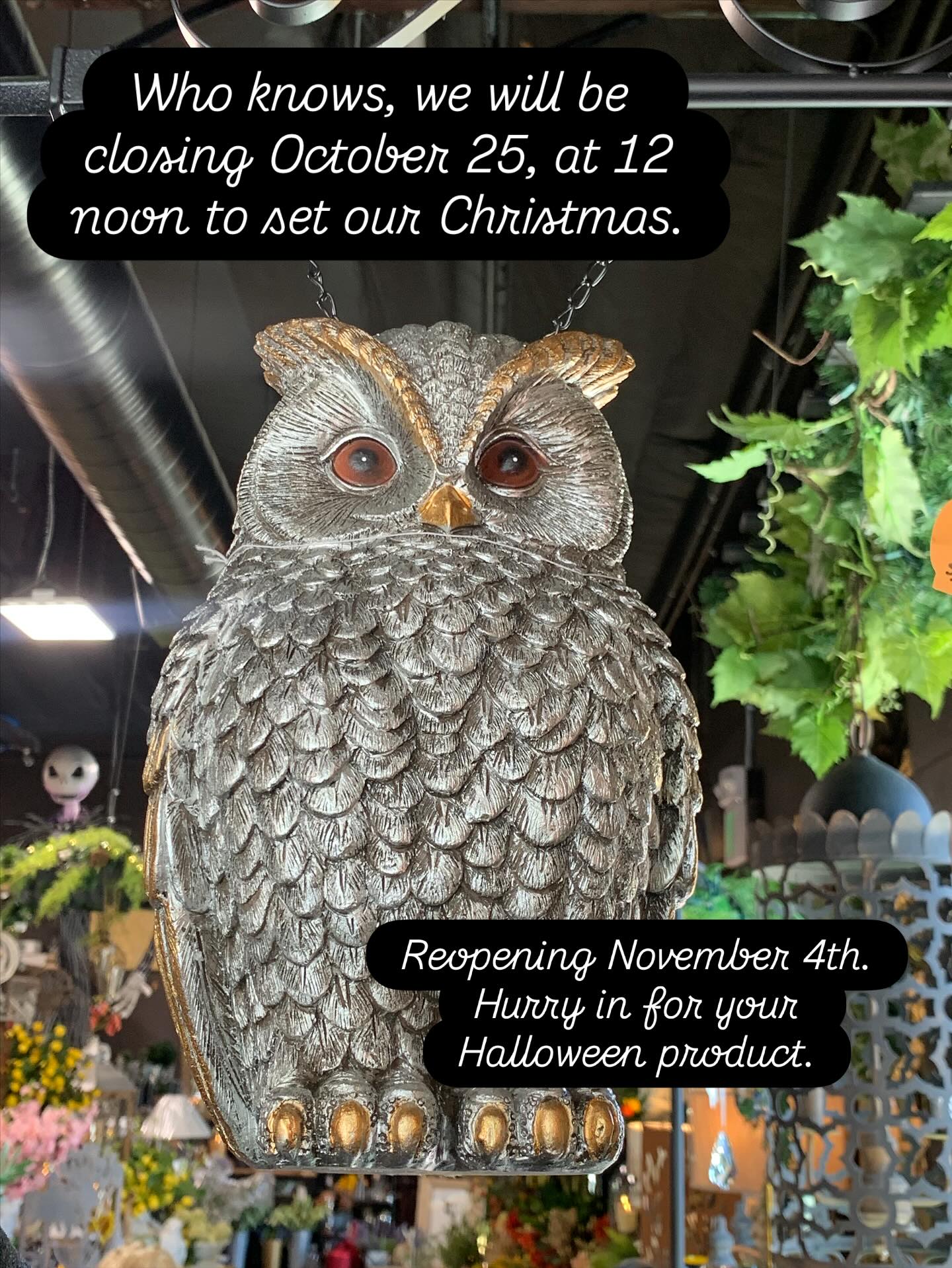 Hurry in only 10 more days to shop Halloween. #halloween , #pumpkins , #witches , #candycorn