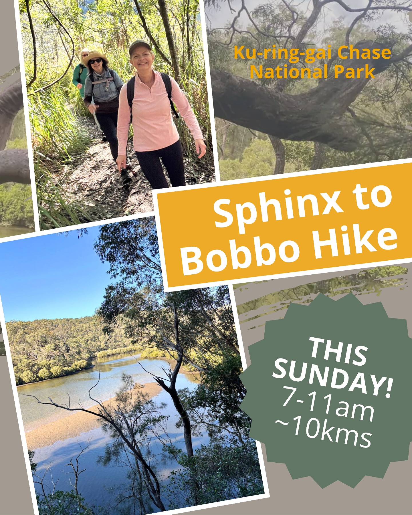 Who’s in for a stunning 10km hike from the Sphinx Memorial to Bobbin Head Loop Track? 🌿 We’ll start bright and early at 7am and take a cruisy 4 hours to complete the loop, with plenty of breaks including a peaceful stop down at Bobbin Head to soak up the scenery. It’s the perfect blend of movement, connection and fresh air, and ideal for anyone with a moderate fitness level who loves a relaxed, social pace. Come join us, only 5 spots left! Link to book is in bio 💛
#SeekSista #WomenWhoHike #SydneyHikes #NSWWalks #OutdoorWomen #HikingCommunity #WomenInNature #BushwalkNSW #NatureConnection #NorthShoreHikes #BobbinHead #KuRingGaiChaseNationalPark #SphinxToBobbinHead #WeekendHike #HikeWithFriends #GetOutside #ExploreTogether #HikeNSW #SydneyOutdoors #NatureLovers #HikeAndConnect #WomenSupportingWomen #MindfulHiking #HikingAustralia #FreshAirAndFriendship #ActiveWomen #WalkAndTalk #HikeForWellbeing #SeekSistaWalks #natureiscalling