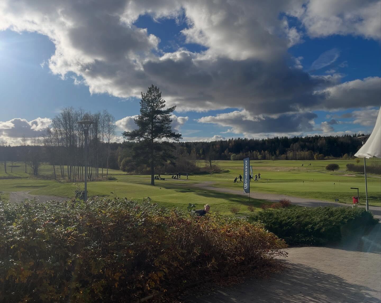 Päivän tilanne. +7 C