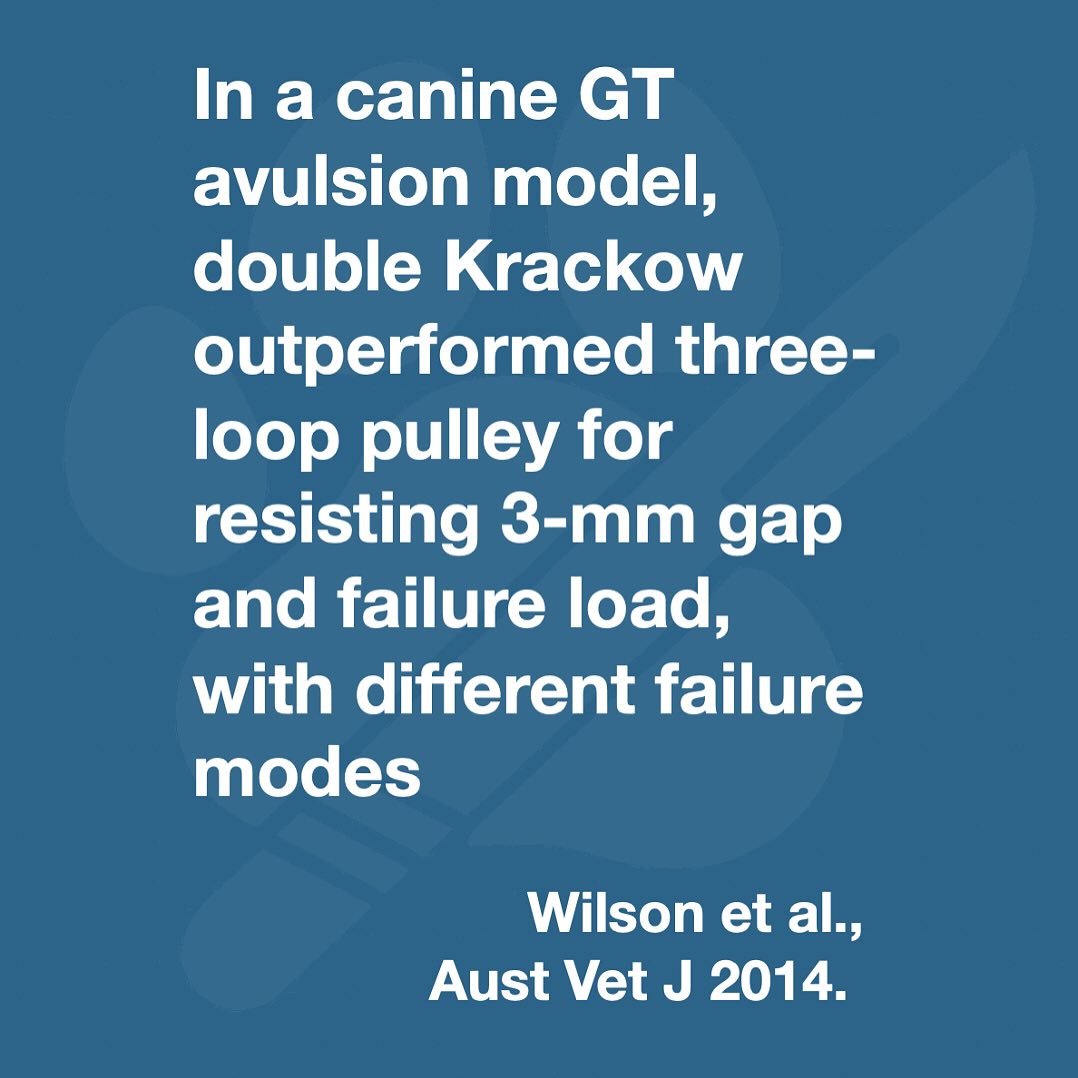 Earlier veterinary work often favored modified three-loop pulley (TLP) over locking-loop constructs; direct double Krackow (DK) vs TLP comparisons were lacking. This study provides head-to-head data showing DK superiority for gap resistance and failure load in a gastrocnemius tendon (GT) avulsion model and documents distinct failure modes, reframing focus toward grasping/locking purchase and bone-tunnel alignment.
———
Ex vivo paired-limb biomechanical study in a canine gastrocnemius tendon (GT) avulsion model. Ten paired limbs were repaired tendon-to-bone with either double Krackow (DK) or three-loop pulley (TLP) using 2-0 polypropylene through divergent calcaneal bone tunnels; then distracted to 3-mm gap and to failure on an Instron (25 mm/min). Loads to 3-mm gap and to failure were compared with paired t-tests. DK exceeded TLP for both endpoints: gap 77.22 ± 9.72 N vs 55.85 ± 9.91 N (P < 0.001); failure 106.88 ± 12.74 N vs 80.86 ± 12.23 N (P = 0.001). Failure modes differed: DK → suture breakage; TLP → suture pull-out. Limitations: in vitro single-pull testing; normal (non-degenerate) tendons; clinical force environment unknown.
Preventing early >3 mm gap at the repair site is critical for tenorrhaphy success; in this model, DK resisted gap and ultimate failure better than TLP, suggesting stronger initial fixation where GT/CC tendon repairs must withstand isometric muscle forces despite coaptation. Because most constructs failed by suture–tendon interaction (pull-out for TLP, breakage for DK), real-world success will still hinge on purchase length, suture gauge, and adjunct stabilization, not just pattern choice. Ex vivo results should be applied cautiously to diseased or thickened clinical tendons.