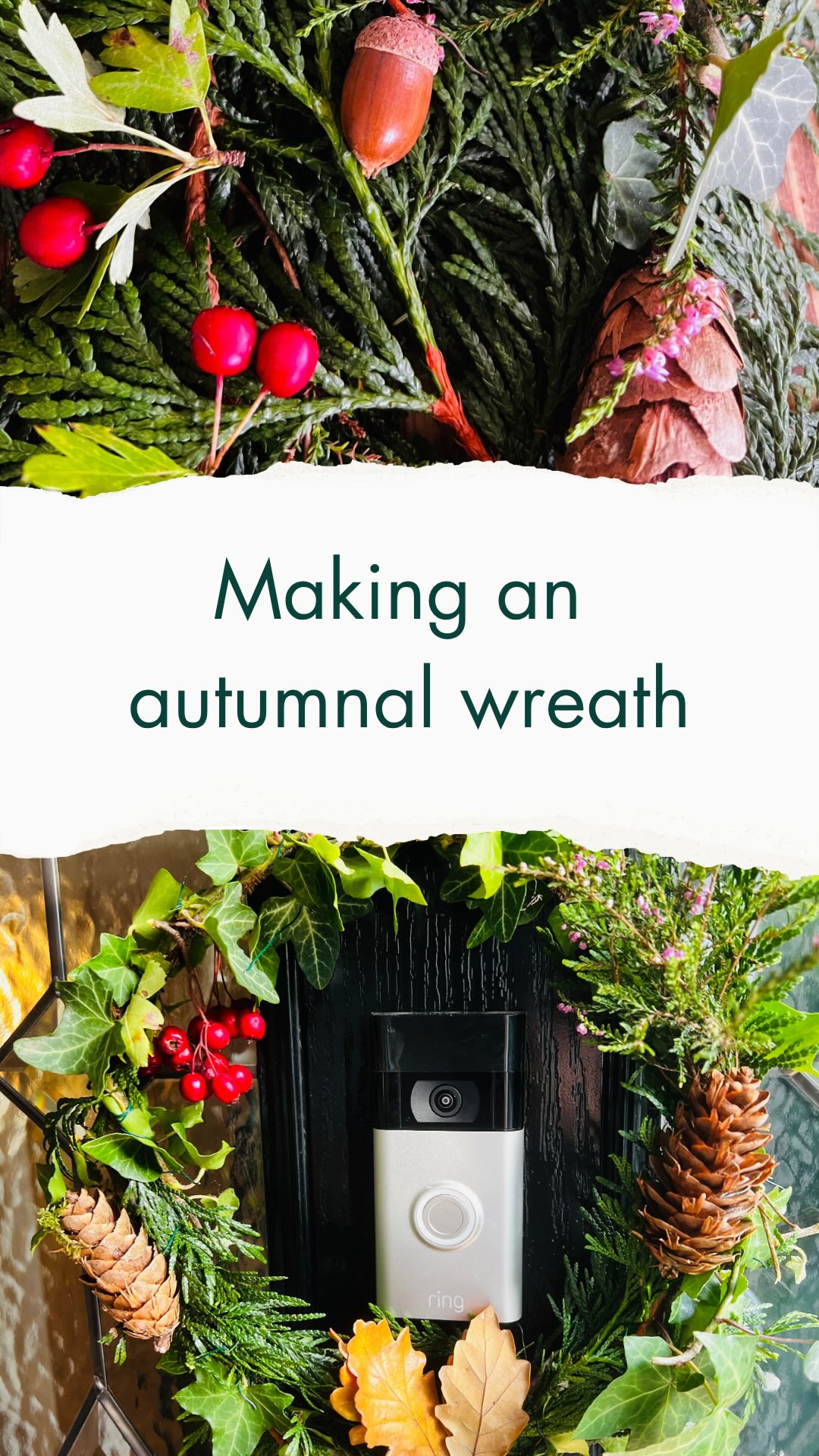 🍂 This is your sign to ditch the plastic store-bought wreath and make something wild instead. 🌿✨
I made this one for my front door to celebrate the Harvest Moon 🌕 — using what’s freely growing nearby, each plant chosen for its meaning:
• Hawthorn — to represent the heart
• Ivy — for resilience and connection
• Pine cones — for abundance
• An acorn — to celebrate the mast year
• Heather — for beauty and protection
• Oak leaves, now turned brown, to honour the waning Oak King, ruler of the light half of the year. As he fades, he passes the crown to the Holly King, guardian of winter’s rest. 🍂👑
Here’s how I made it:
🌿 I started with four sprigs of ivy, weaving them into a circle and tying them with floristry wire to form the base.
🌲 Then I layered in evergreens like Douglas fir for structure and texture.
🍁 Finally, I added the accents: oak, hawthorn, pinecones, using the floristry wire to tie them into the weave until it felt balanced and alive.
Each piece holds a story, each stem a reminder that the wild still offers beauty, meaning, and belonging — if we take the time to notice.
✨ Save this for when you’re ready to make your own wild wreath and celebrate the turning of the season.