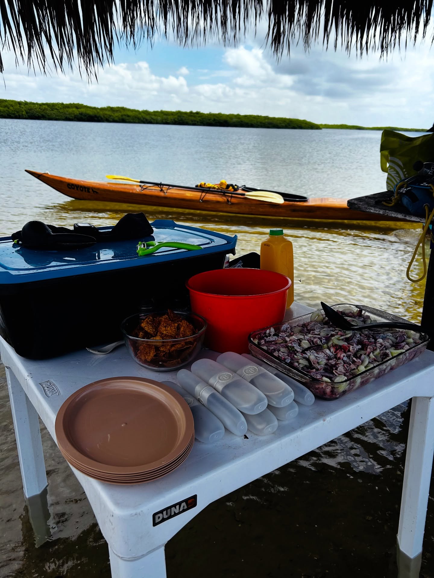 ✨ Un planesito así y se te reinicia la vida.
Entre manglares, el silencio del estero y el vaivén del kayak, solo necesitas un aguachile bien servido y buena compañía para que todo vuelva a tener sentido. 🌿🌊🍤
📍Bahía Magdalena, B.C.S.
#MurillosBrosAdventours #MagBayVibes #KayakLife #AguachileTime #VidaEnLaBahía #PuertoSanCarlos #ManglaresDeMagBay