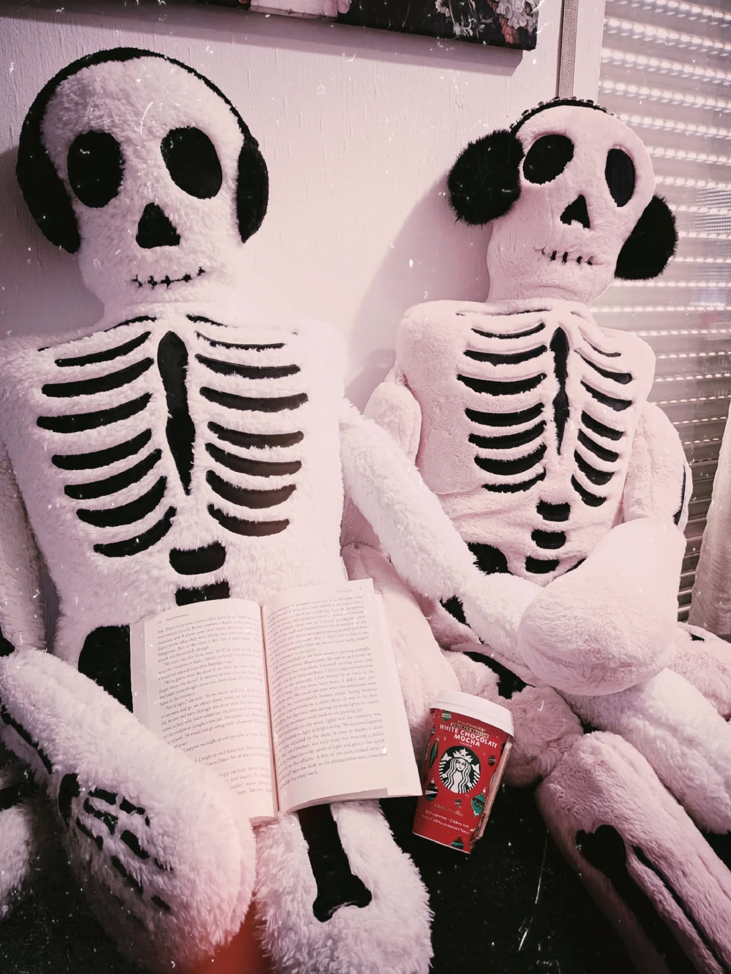 It's getting cozy in here 🔥👻
#reading #bookish #skeleton #skeletonplush #horrorlover #writingcommunity #readers