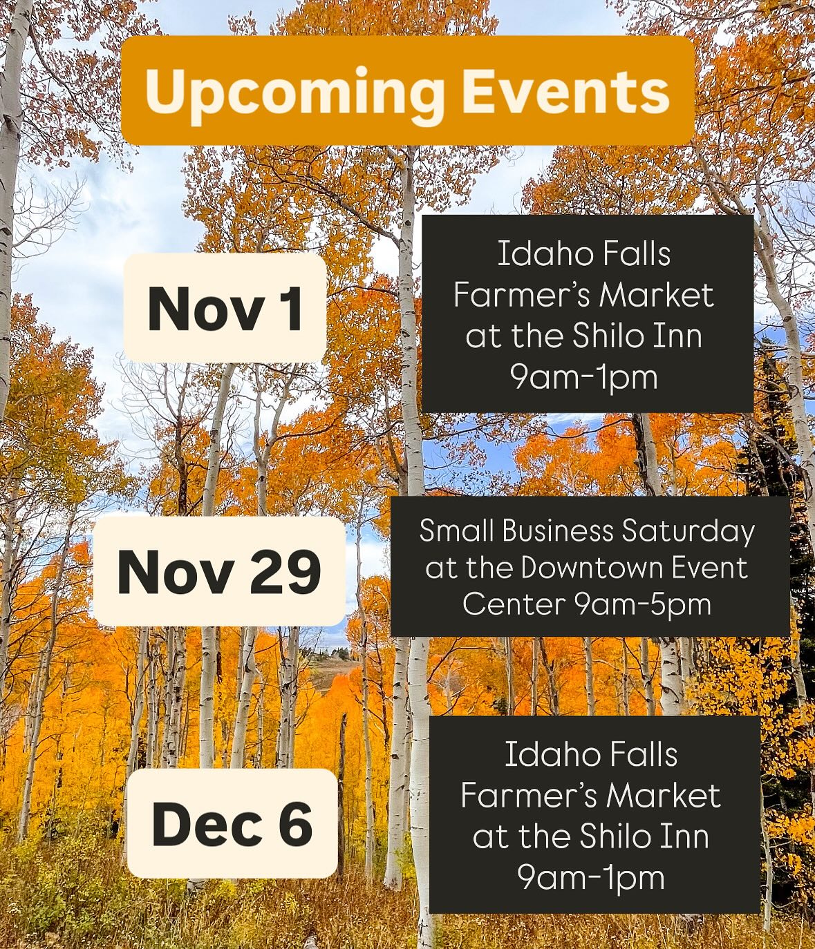 Next up! Hope to see you soon!
Shop my website if you’re not local.