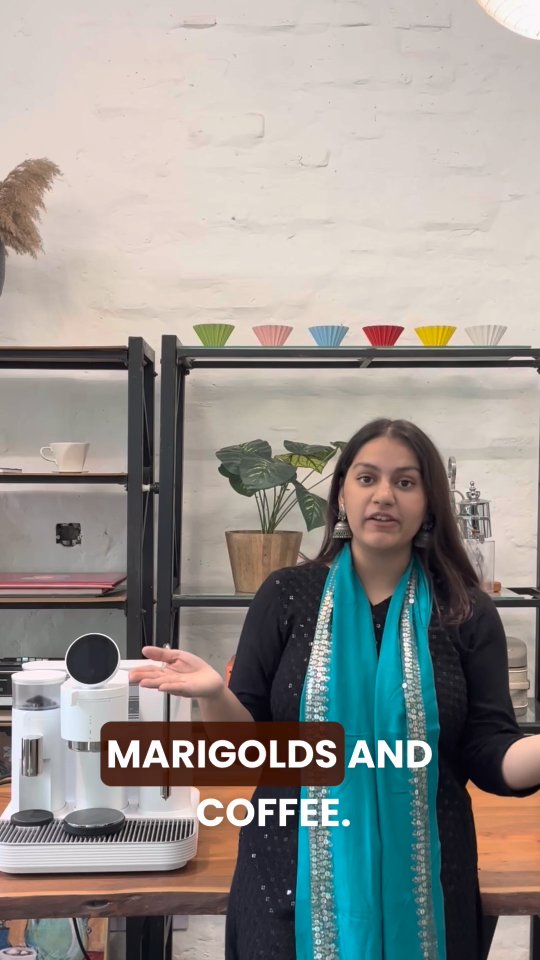 This Diwali, we’re celebrating new beginnings — and a new home for coffee lovers.
Enjoy 10% OFF on all beans and up to ₹10,000 OFF on machines as we relaunch at coffeeplus.in.