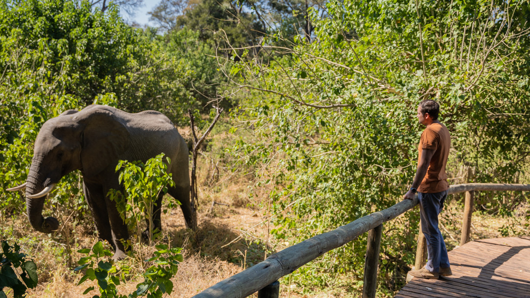 🌍✨ Ready for a journey like no other? At Trouver Africa, we believe that every safari should reflect your unique interests and passions! 🦁✈️ Whether you’re dreaming of thrilling wildlife encounters or serene landscapes, we craft tailor-made itineraries that promise unforgettable memories. Let’s explore the wonders of Africa together! 💚 #AfricanAdventures #TravelWithUs #CustomItineraries #ExploreAfrica #SafariDreams #TravelGoals #NatureLovers #Wanderlust