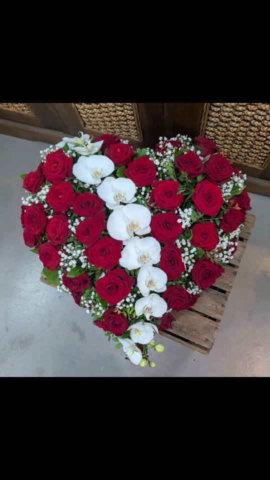 Un cœur d’amour et de souvenir 💐❤️
Des roses rouges pour la force des liens, une cascade d’orchidées blanches pour la pureté et la paix 🤍
Un dernier adieu plein de tendresse, pour une maman précieuse, à jamais présente dans les cœurs 🌸✨
#fleuriste #fleur #floriste #flower #nice #hommage #souvenir #coeurfleur #fleursdeuil #amour #creationflorale #artisanfleuriste #rose #orchidee #emotionenfleurs #fleursdenice #fleurs