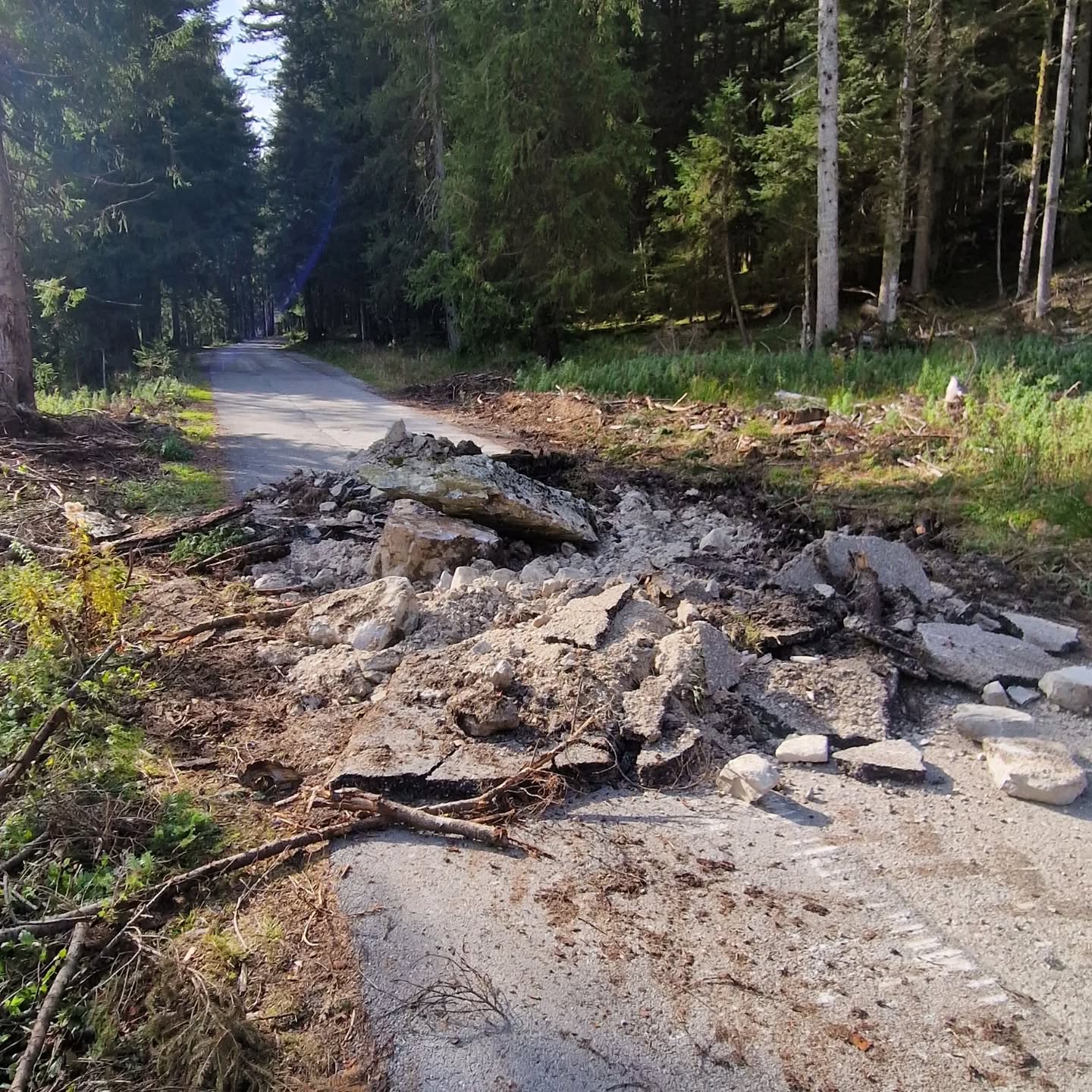 Servus Liebe Freunde der Enzianhütte!
I glaub da is oam zuviel geworden!!😱
Wenn Ihr uns mit dem Auto besuchen wollt, dann bitte die Straße über die Sommerau nutzen!
Bis bald, mit sonnigen🌞 Grüßen vom Trattberg ⛰️
Andrea und Klaus
#salzburgerland #salzburg #trattberg #österreich #wahnsinn #verrückt #wanderlust