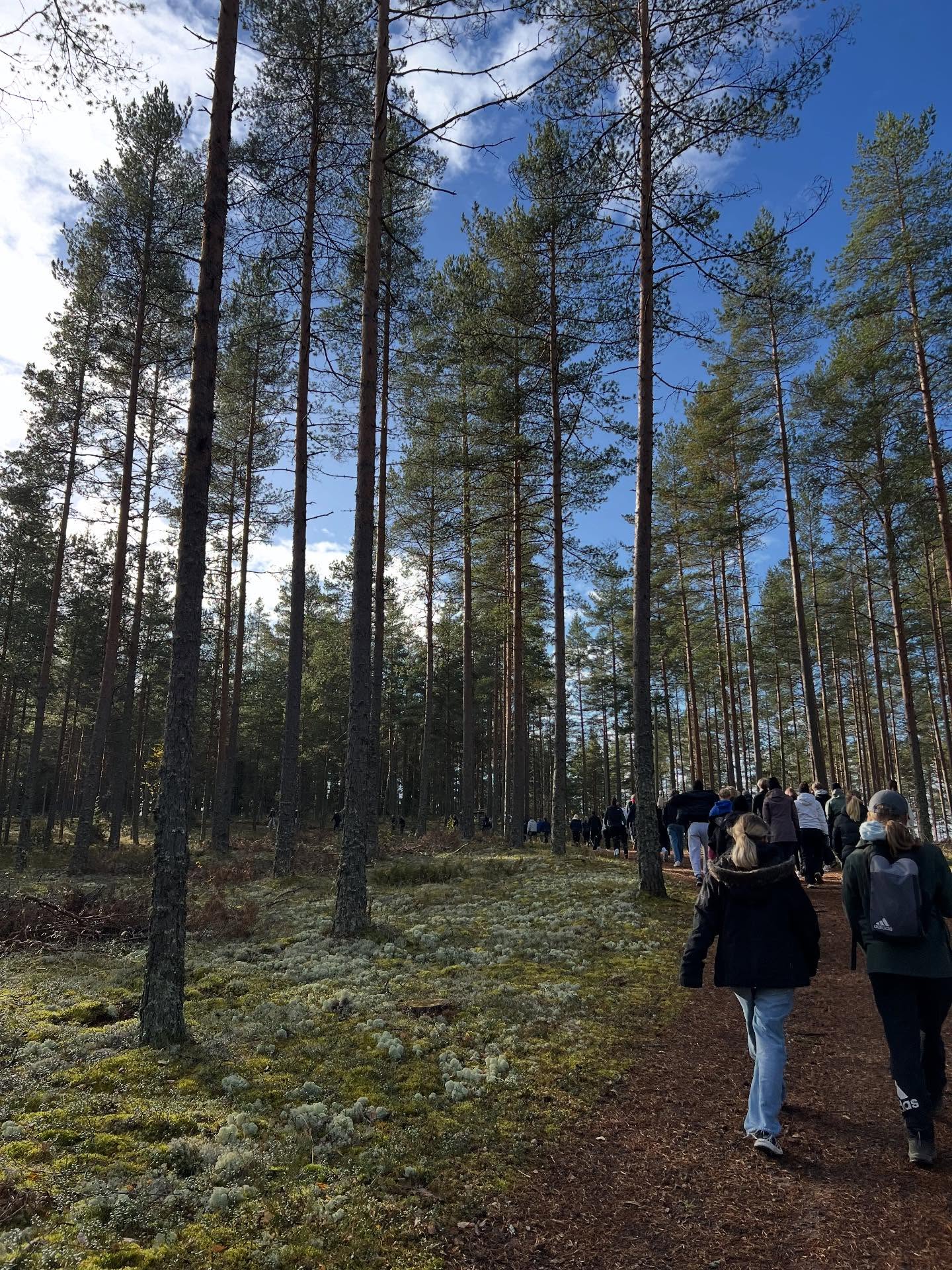 Tänään lukiolaiset kävivät metsäretkellä Vampulassa🌲🌳Ohjelmana oli erilaisia lajintunnistus tehtäviä🦉Lopuksi nautittiin Sannan Grillillä pillimehua ja makkaraa!🤩