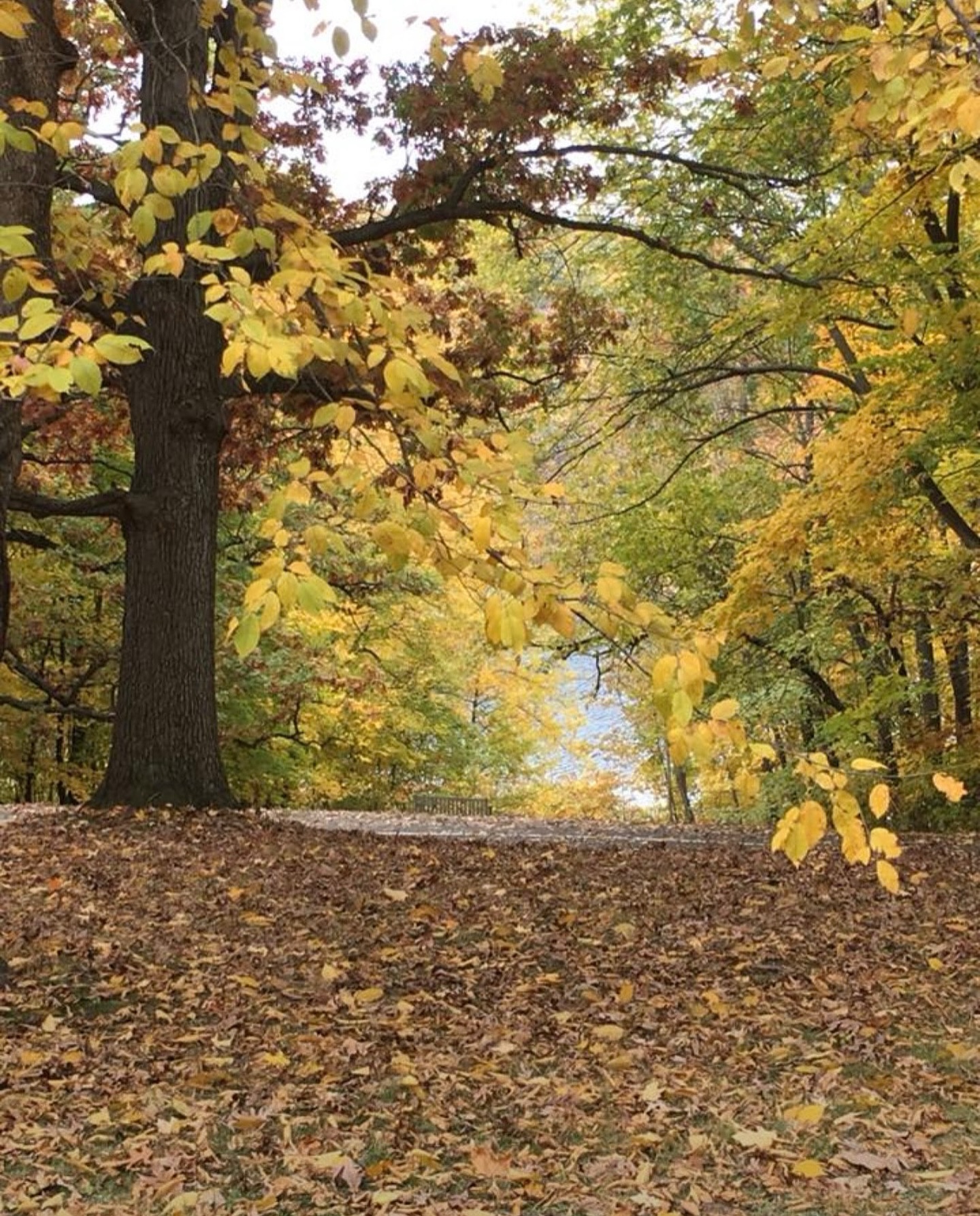 Stopped by to feed the beautiful staff @refinelaserandskincare and our trusted friends at Minnetrista PD on the way home. Have a safe and wonderful MEA weekend!