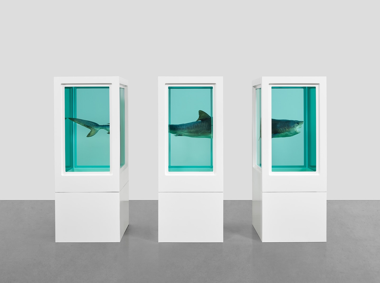 Featured in our weekly Visionary Digest on theboyshostel.com today is Damien Hirst — legendary contemporary artist, assemblagist, painter, and conceptual artist — born on June 7, 1965, in Bristol, England.
In 1995, he won Tate Britain’s Turner Prize, Great Britain’s premier award for contemporary art. Hirst pushed the boundaries of art with provocative ideas, exploring vanitas and beauty, death and rebirth, and other aspects of human existence.
#1 - #4 (Natural History)
#6 - Unknown Pharoah (Pharrell Williams)
#7 - Andromeda and the Sea Monster
#8 - Hydra and Kali
#9 - Skull of a Unicorn
#10 - Saint Bartholomew
#11 - #14 Relics and Fly Paintings
Discover more at theboyshostel.com.