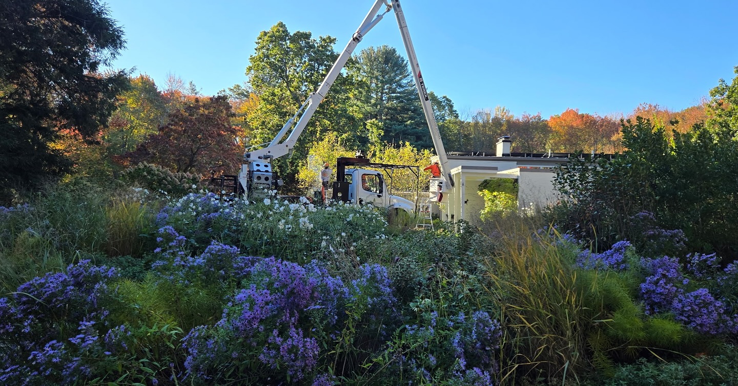 This beats the desk job any day 🌲 🌺 ☀️
The BEST office around!!