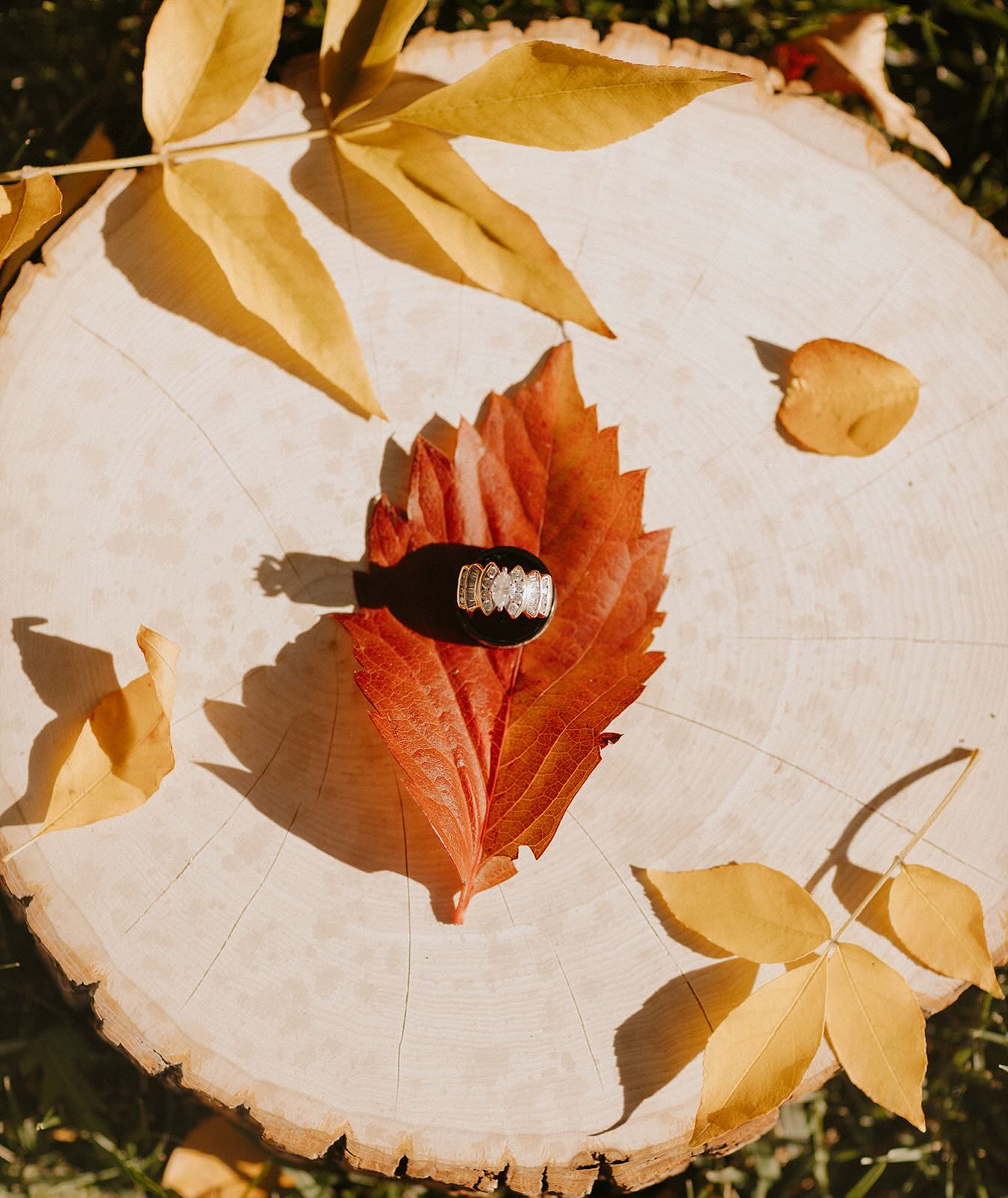 Fall weddings >>>
As a former November bride myself (4 years ago already, holy cow) I hate to say it, but I’m SO partial to the fall weddings.