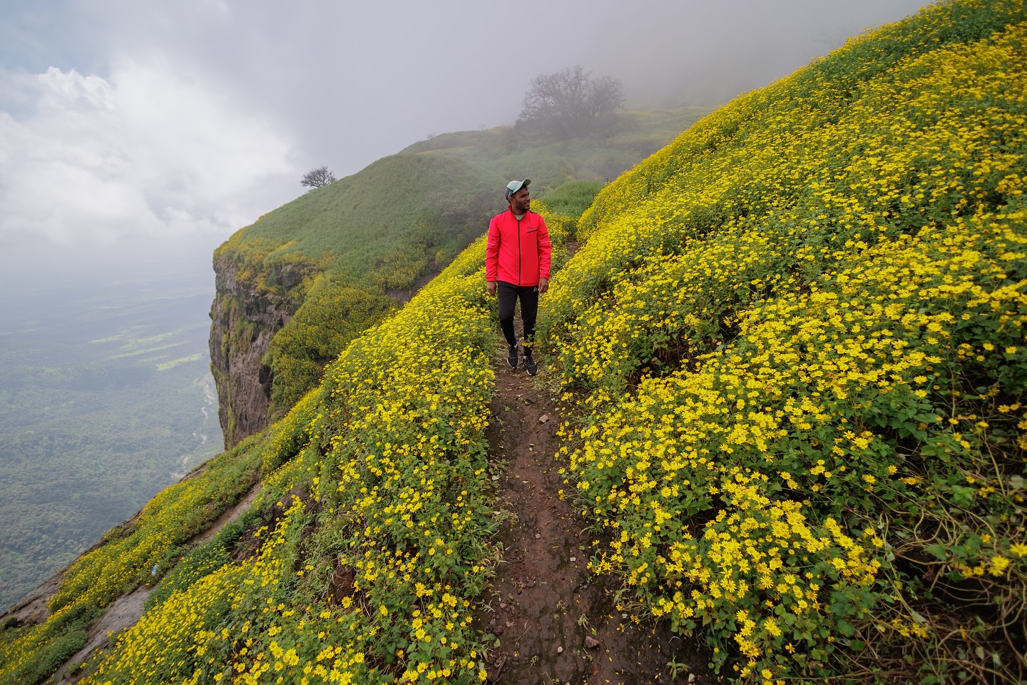 Nature’s artwork at its finest — Ratangad in full bloom.
📸 @mayureshmokal
#ratangad
#travelgaadi #travelgaadiadventure #travelgram
#travel #nature #devkund #waterfall
#trek #pune #mumbai #trekking #trekkingindia
