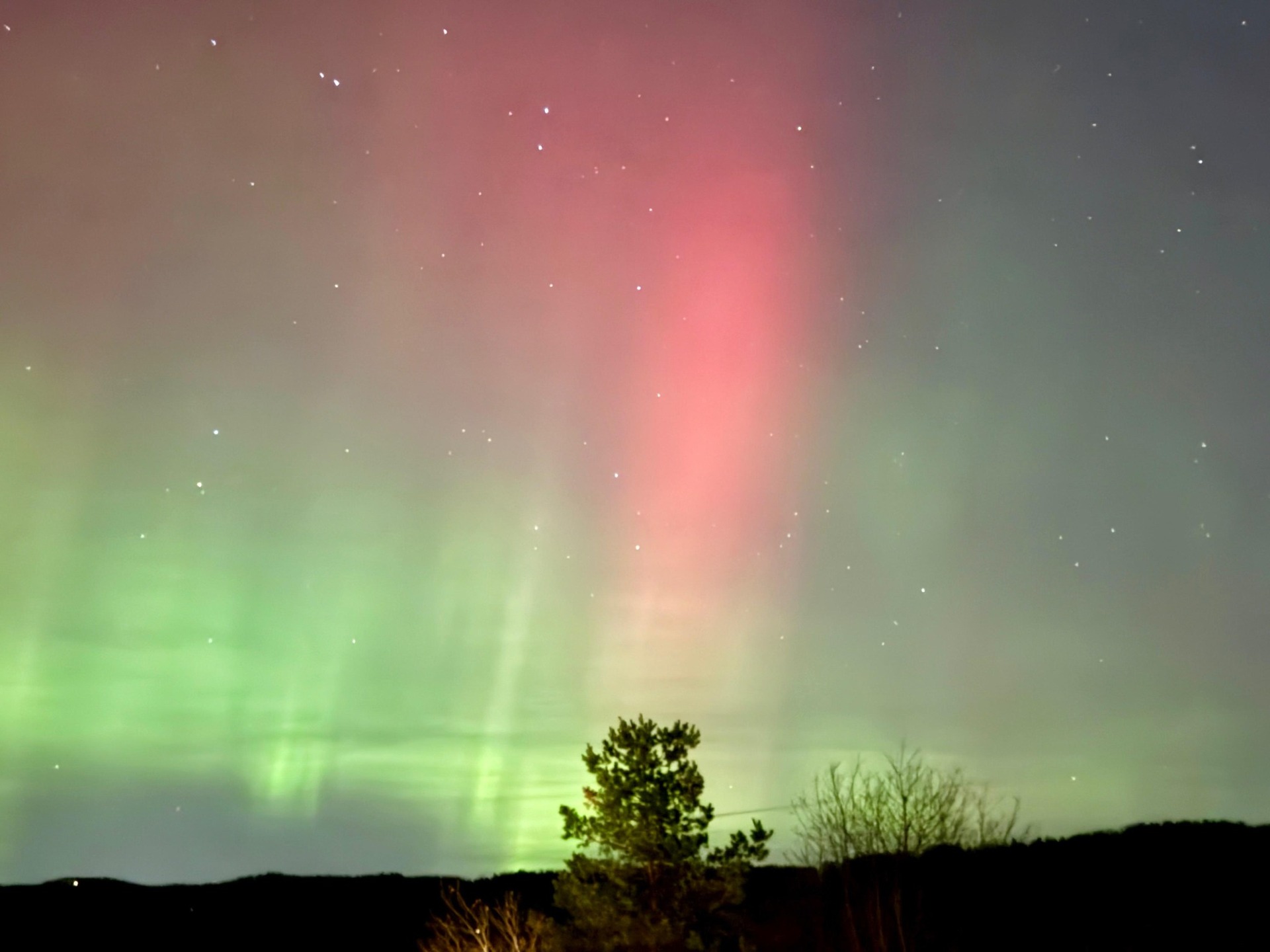 📷 Christine Sultan @macikacica