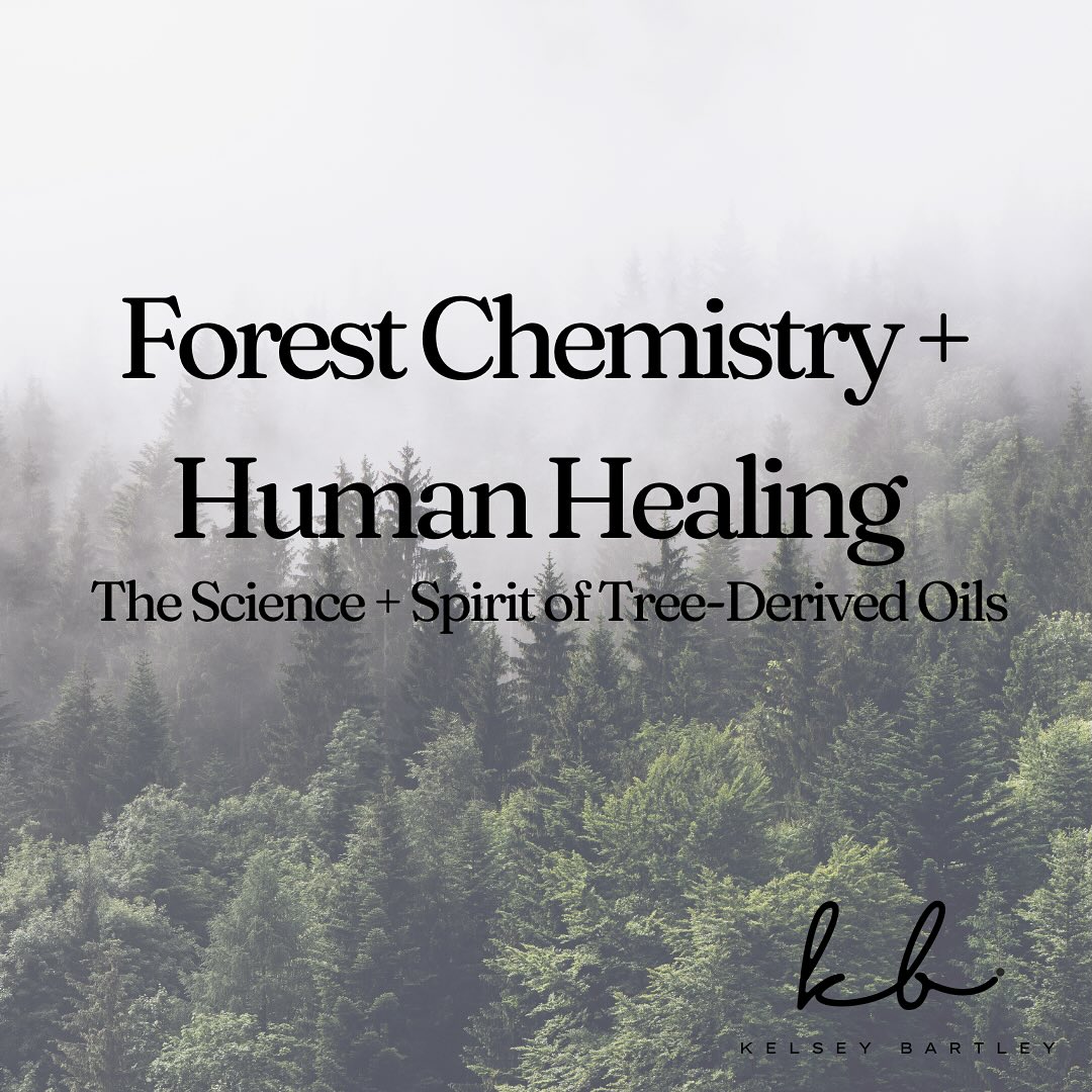 There’s a language older than words—the chemistry of trees. 🌲
Inhaling their resins, breathing their stillness, we enter a dialogue between forest and body that calms the nervous system and steadies the soul.
In my latest article, Forest Chemistry and Human Healing — The Science and Spirit of Tree-Derived Oils, I explore the research, energetic qualities, and clinical applications of oils like Tsuga, Cedarwood, Spruce, Frankincense, and more.
From reducing inflammation and easing anxiety to restoring spiritual clarity, these forest oils remind us what it means to belong to the Earth.
Link in bio to read the full post. 🔗
#EssentialOils #ForestMedicine #Aromatherapy #NaturalHealing #NaturopathicMedicine #TreeOils #MindBodySpirit