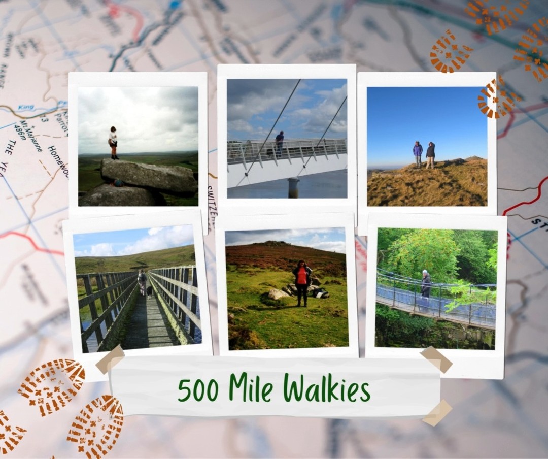 This week we share with you the last of Ronnie's Walks Diaries, 2014.
Though Ronnie’s walking diaries have drawn to a close, what a journey they’ve captured! Her adventures spanned remarkable landscapes and storied paths, from twice traversing the full length of the Montgomery Canal between Frankton and Newtown, to climbing Glastonbury Tor and following the Mawddach Trail. She explored Bodmin, Dartmoor, and Exmoor; began mapping every right of way within three miles of her home; and twice sought out the sources of the Severn and Wye.
Her footsteps reached Low and High Force in Teesdale, traced the Kerry Ridgeway, and climbed The Rivals on the Llŷn Peninsula, including its stunning coastal path. She walked Wats Dyke, visited Nine Riggs Standard, and stood atop Beacon Ring and Caer Digoll. Each walk was a story, each path a memory, what a legacy of exploration she leaves behind.
https://www.ronniesramblings.co.uk/500miles/2014
#500milechallenge #ronnieramblings #ronniesgifttousall #ronniesadventures #CapturedMoments #notebooklove
