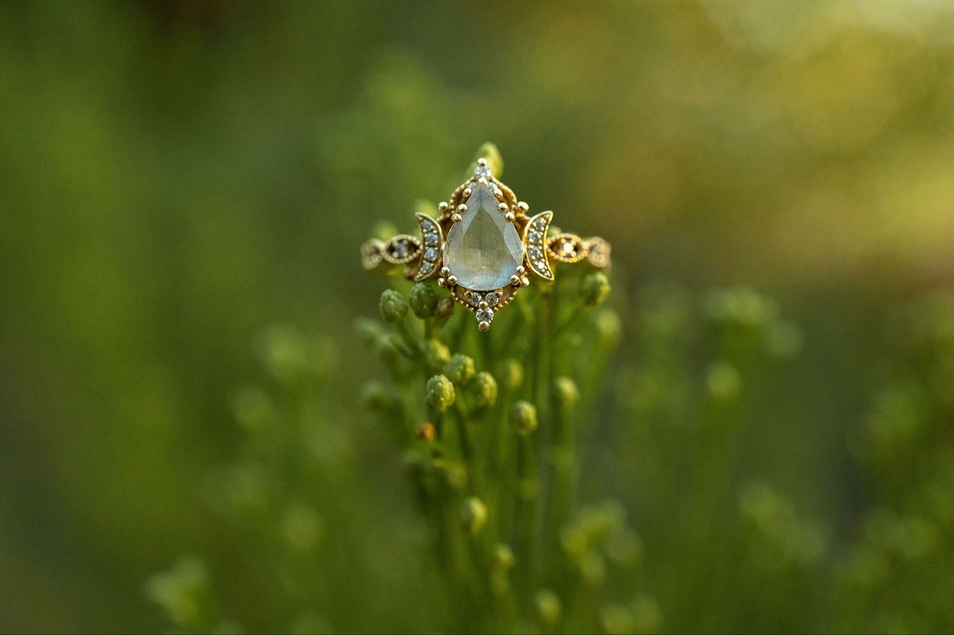 Golden hour, desert air, and love that feels like home. 🌵☀️
The soft sunrise glow really made these details shine, Vans + Converse, every little detail told their story — simple, real, and full of heart. 💍
I can’t wait to capture the big day for these two!!
💕 2.15.26 💕
#PhoenixEngagement #ArizonaPhotographer #DesertLove #PhoenixWeddingPhotographer #AZEngagementSession #SunriseShoot #EngagedInAZ #ArizonaWeddings #AZCouples #DesertEngagement #ArizonaLoveStory #PhoenixCouples #AZPhotographer #phxwedding #azwedding #azweddingphotographer #azengagementphotographer #azengagement