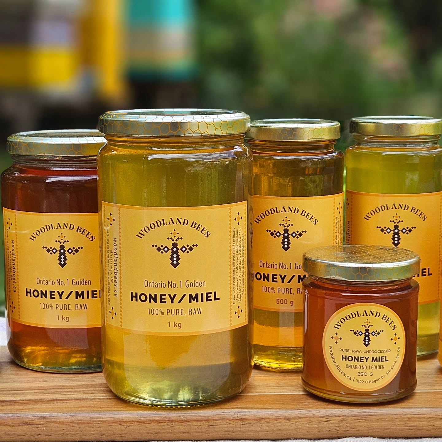 These jars hold more than honey — they hold a season’s worth of blooms, morning flights, and quiet work by thousands of tiny wings.
From the Mississauga gardens to Erin’s headwaters and Mono’s meadows — each hive has its own rhythm, and its own flavour to tell.
#WoodlandBees #HandcraftedHoney #OntarioBeekeeper #NaturalHoney #EcoFriendlyLiving #LocalArtisan #SustainableHoney #RawAndPure #HoneyWithAStory #BeeKind