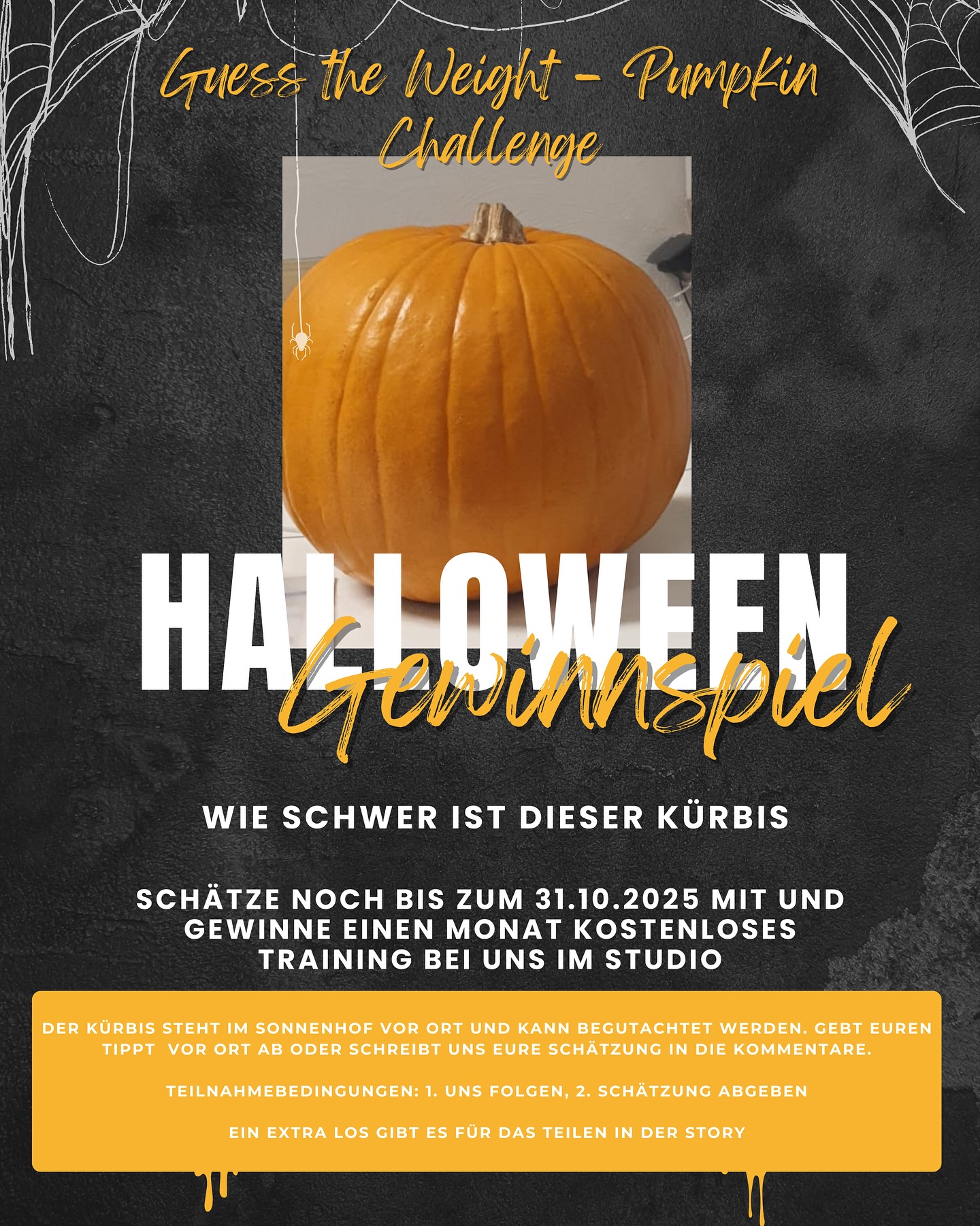 Wir wünschen allen Teilnehmer/innen viel Glück 🍀