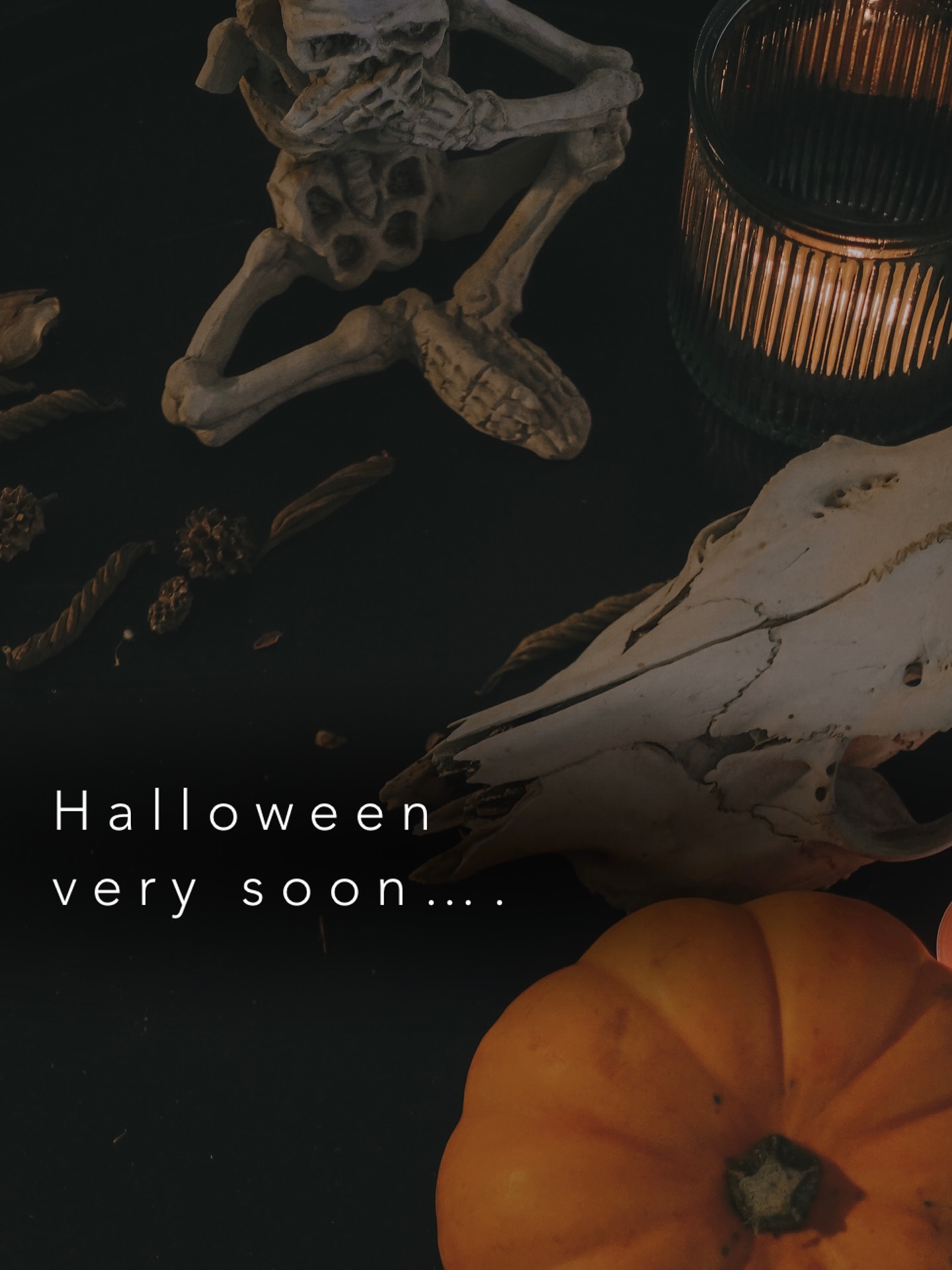 Hey everyone!🖤
The mürgine tattoo team has prepared a little Halloween special for you 🎃
From October 30 to November 6, you’ll have a chance to get tattooed by your favorite artists with exclusive flash designs at special prices!
How it works:
On October 23, we’ll post our Halloween designs on Instagram.
Each design will come with its own special price.
Pick the one you like and book your session between October 30 and November 6 the offer will be valid only during that time.
Don’t miss it 🍁
Your m