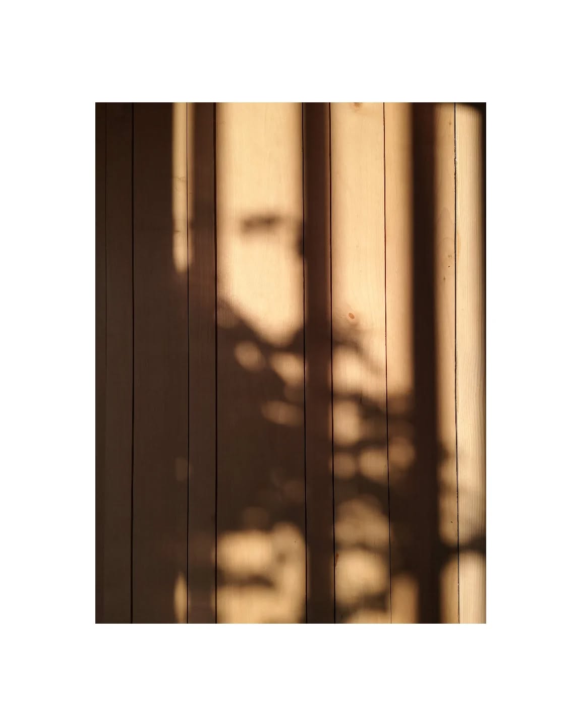 Light and shadow play across the black alder panelling of house Åkerudden. This detail, covering nearly all walls and inner ceilings, features a precisely calculated pattern: three panel sizes are used, with the two narrowest equaling the widest to form a uniform, repeating rhythm throughout the space.
#architecture #architect
#scandinavian #design #scandinaviandesign #scandinavianarchitecture #nordicdesign
#designstudio #architecturehunter #blackalder