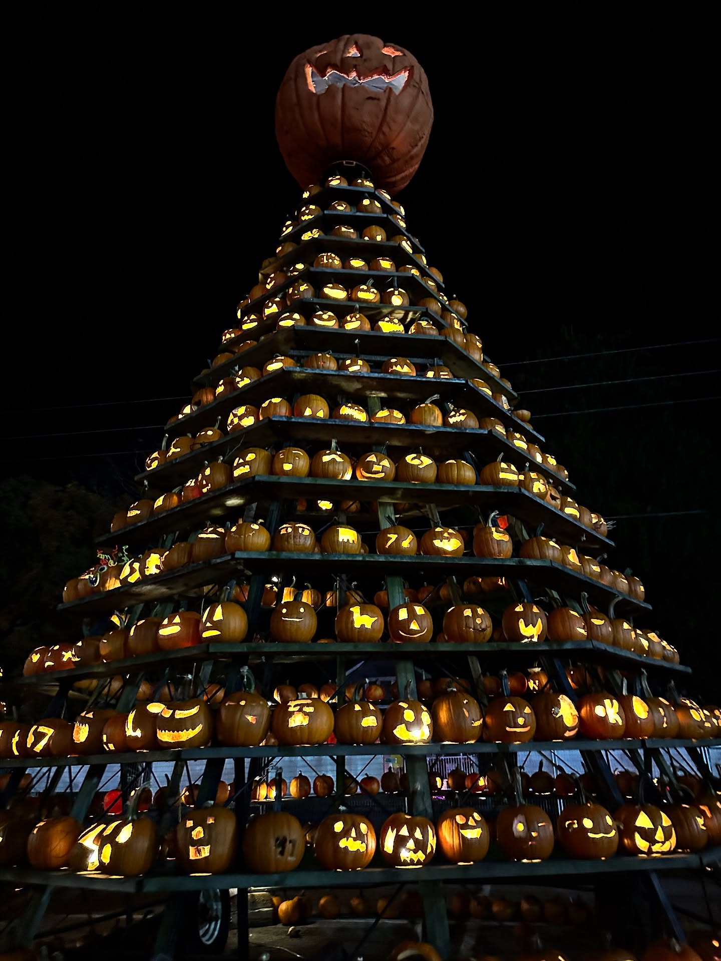 What a weekend, Waterford!🎃 Pumpkinfest brought the whole community together in the best way. So much gratitude for the volunteers and organizers who make this 100% community-driven event shine! 🧡🍂
#Pumpkinfest #Waterford #NorfolkCounty #Community #Pumpkins #SupportLocal