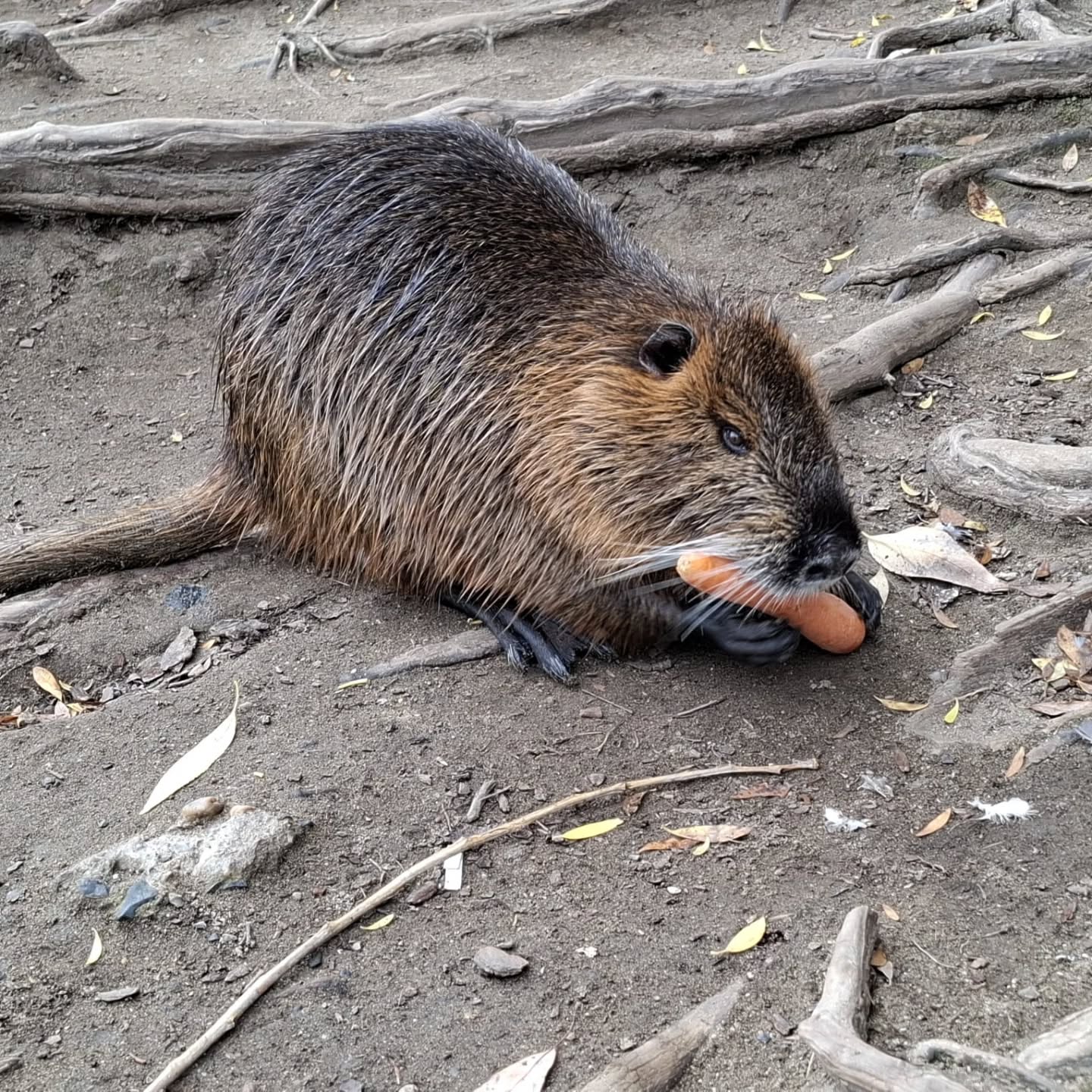 תקופה אינטנסיבית כל כך עברה על כולנו, ועלינו כזוג. נסענו להיות ביחד. זו מטרת העל. ועל הדרך, להיות קצת בצ'כיה. ובין לבין, להיות עם כל ההתרגשויות שבארץ.