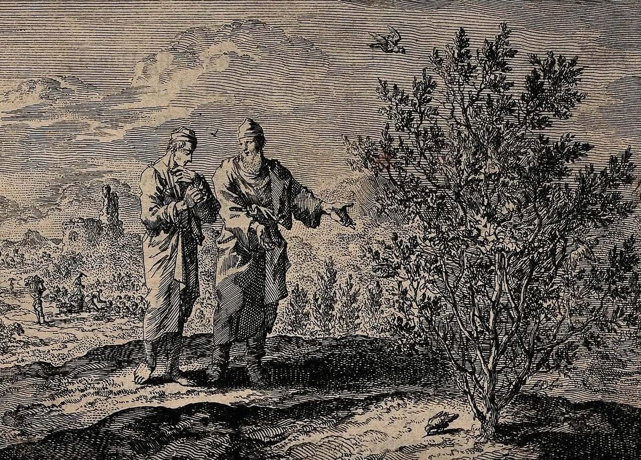 Évangile du 5e dimanche d’automne.
Le royaume céleste ne sera pas établi d’une manière qui attire l’attention. On ne dira pas qu’il est ici ou là. Le royaume des cieux est déjà au milieu de vous. On peut le comparer au levain qu’une femme met dans trois mesures de farine. Jusqu’à ce que le tout fermente. C’est comme un grain de moutarde qu’un homme sème dans son champ. C’est la plus petite de toutes les graines, mais lorsqu’elle a poussé, c’est la plus grande de toutes les plantes et elle devient un arbre, de sorte que les oiseaux du ciel viennent se reposer dans ses branches.
Image : Parabole de la graine de moutarde par Jan Luyken, d’après la Bible Bowyer, 17e siècle.
#eglisegnostiqueapostolique