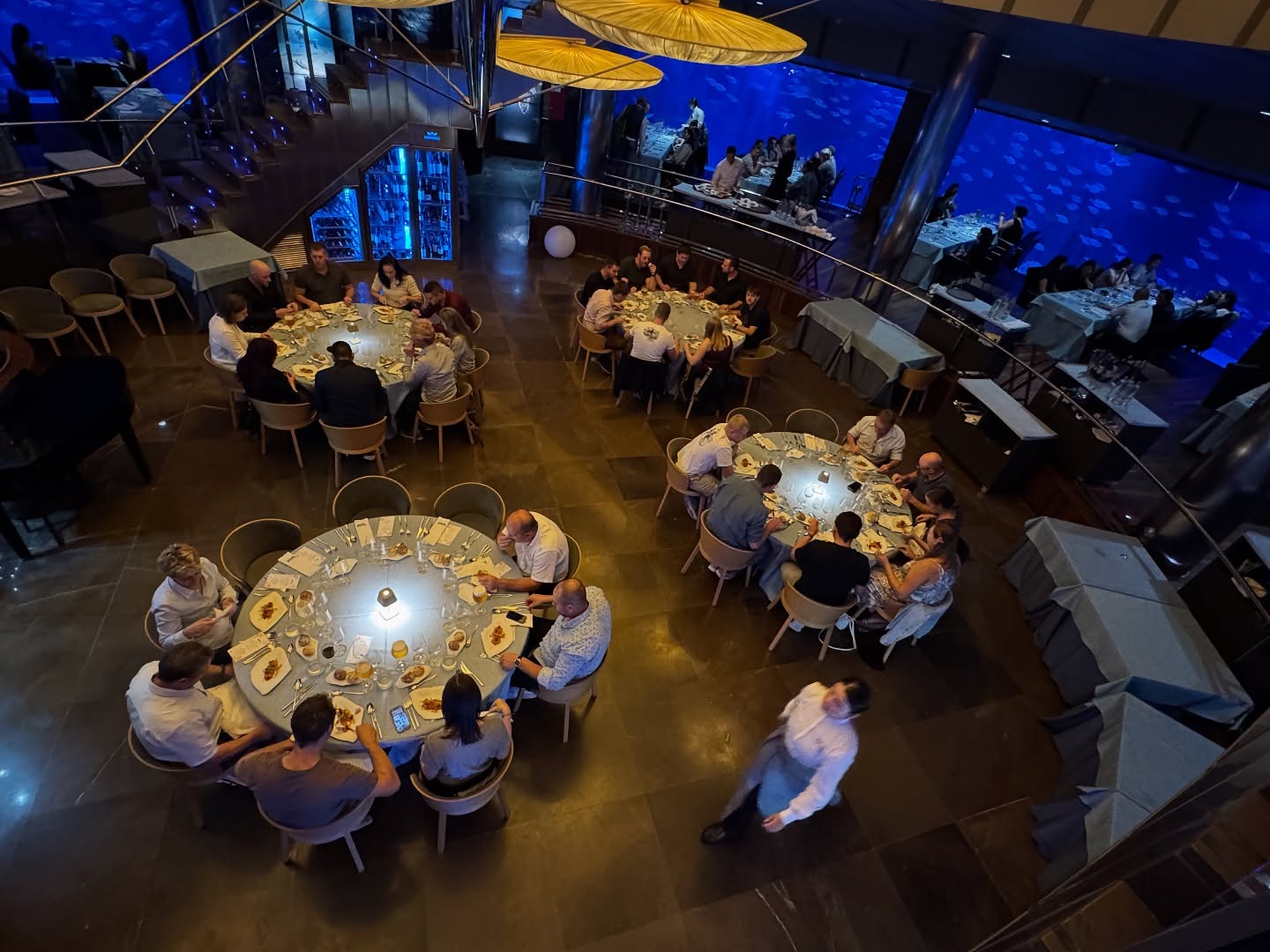 Als Dankeschön an unsere MitarbeiterInnen ein spektakuläres Abendessen im Submarino im Oceanografic in Valencia #40jahrejubiläum #mayrbau #valencia #oceanografic