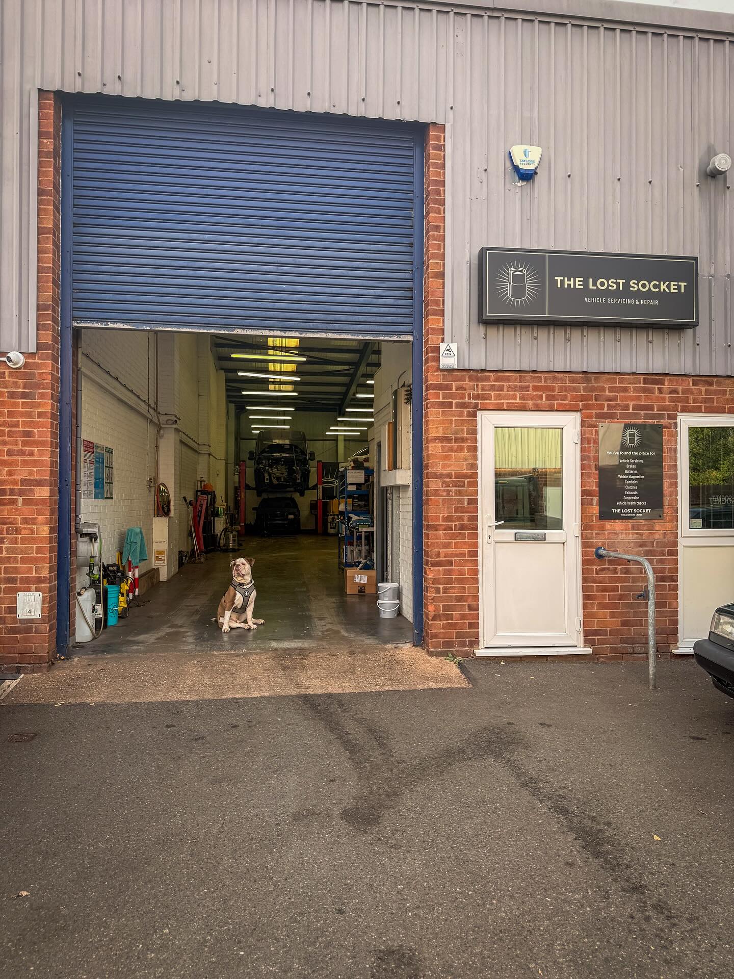 Who wants to play Stanley’s version of Where’s Wally? 🐶
Did you find him? ⬇️ 👀