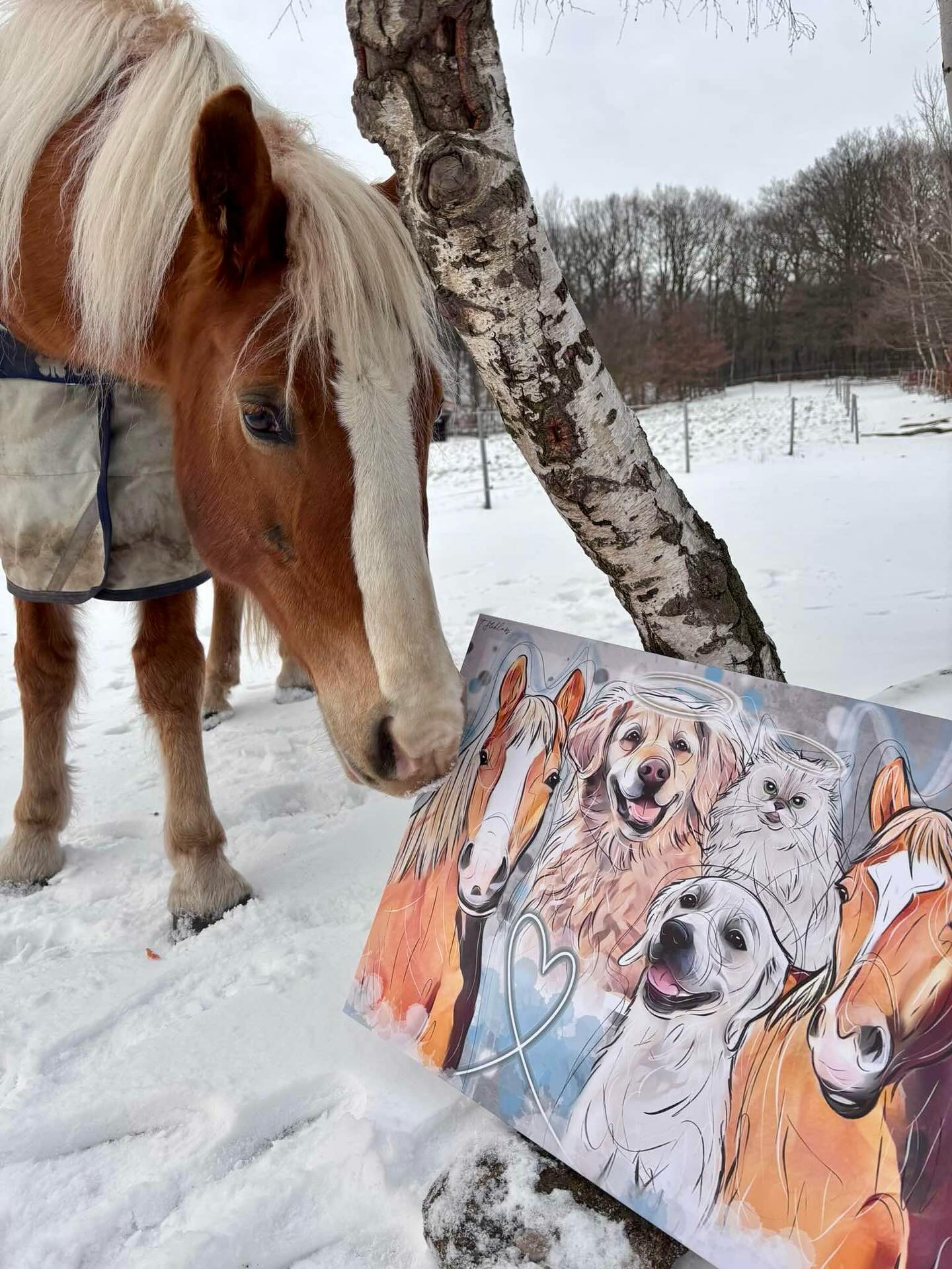 Po delší době jeden obrázek, ve kterém je lásky víc než dost.. ať už jsou naši nejlepší přátelé kočičky, pejsci nebo téměř tunový koníci (samozřejmě né všichni 😂).. když ti životem projde spousty chlupáčů a všechny je máš v srdíčku na stejném místě. Nikdy nikoho nikdo nenahradí, to je jasné.. a když už někoho nemáme denně na očích, tak ho budeme mít aspoň na plátně ❤️
Další obraz, který měl trošku větší hodnotu, aspoň pro jeho majitele. Srdcovka, vzpomínka, památka a láska.
#dogart #dogportrait #dogartist #dogartportrait #dogdigitalart #digitalportraits #goldenretriever #goldenretrieverdog #zlatýretrívr #zlatyretriever #zlatyretrivr #hafling #haflingers #haflinger #haflinghorse #horseart #horseportrait