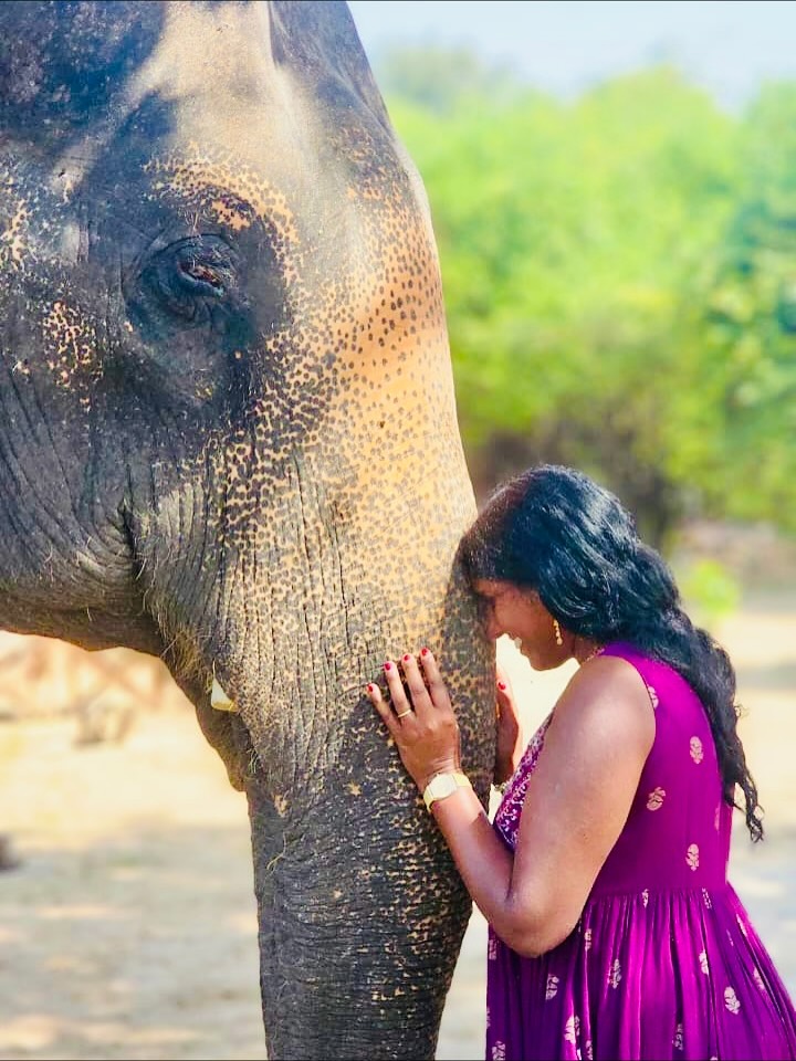 So happy to visit one of my favorite places in Jaipur @deraamercamp. Photo credit @tourwithsagar. #jaipur #india #elephant #happy #grateful #travel