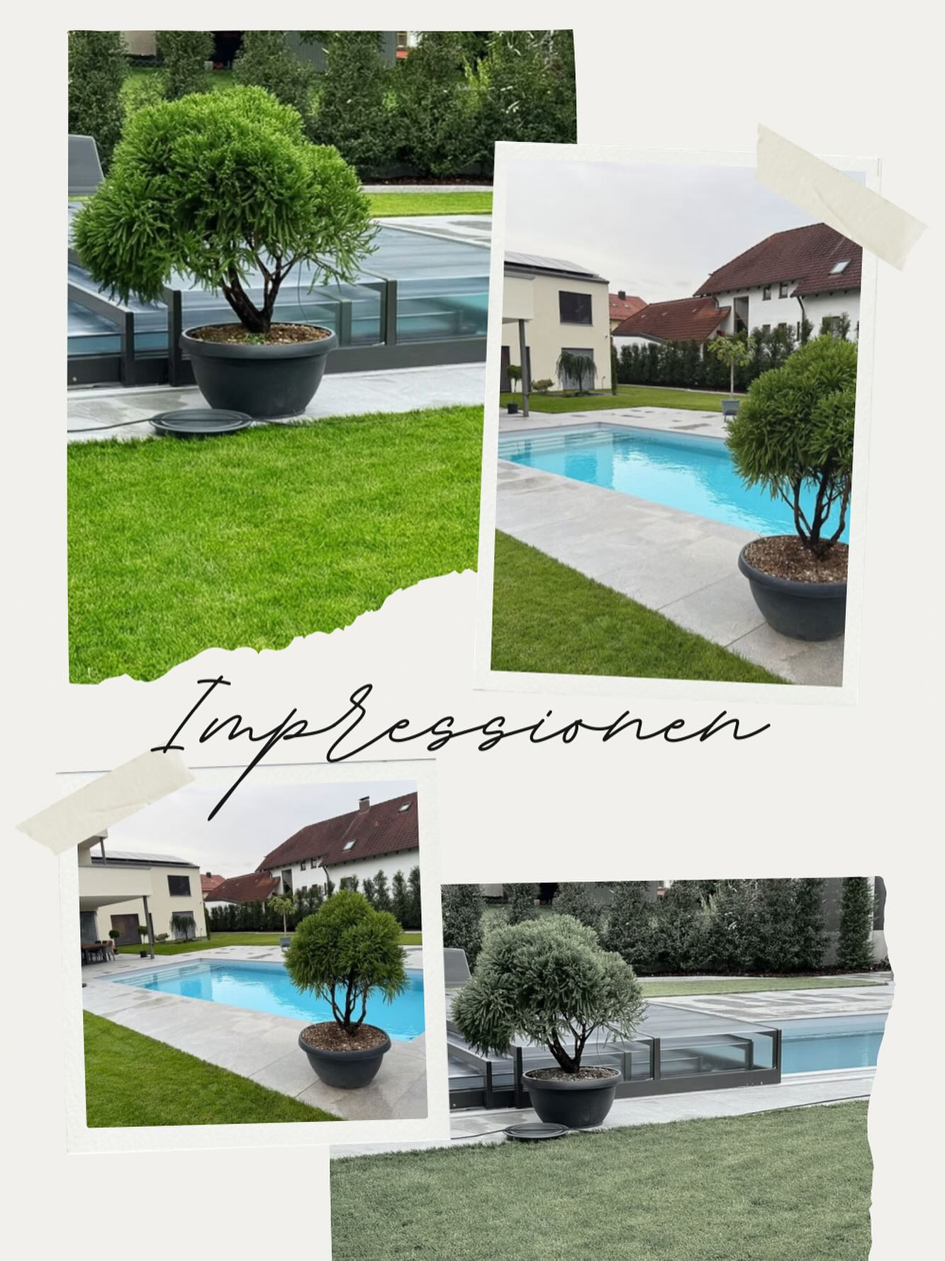 Das schöne am Herbst ist grad ja nicht unbedingt das Wetter. 🍁🍂
Durch die länger werdenden Abende finden wir gerade endlich Zeit, auf unser Arbeitsjahr in Bildern zurück zu blicken und euch auf diese Reise mitzunehmen! 😍
Wir hatten heuer wirklich wieder mega schöne Projekte die wir für unsere Kunden verwirklichen durften 🥰
Für diesen Pool hat unser Kunde eine graue Folie gewählt und wir können uns auch bei dieser Kombi kaum satt sehen😍
Wie gefällt euch diese Variante? 😊
#traumgarten #poolgarten #meinschönergarten #schwimmbad #swimmingpools #swimmingpooldesign #poolimgarten #traumpool #poolüberdachung #instagood #lovely #lovemyjob #neumarktinderoberpfalz #nürnberg #poolbau #poolbauer