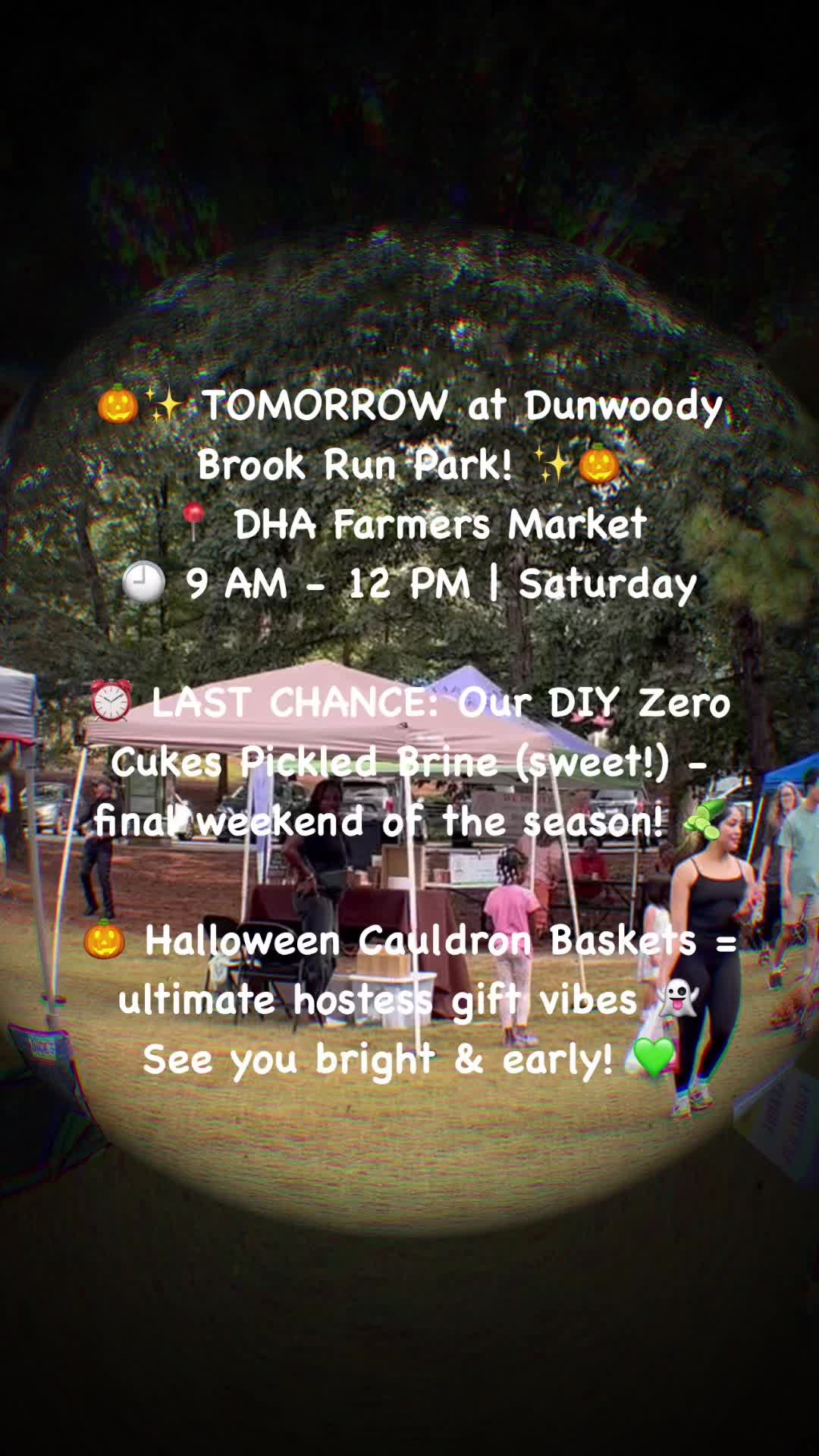 Brook Run Park - DHA Farmers Market 🕘 9 AM - 12 PM | Saturday
See you bright & early! 💚
www.thetickledpickler.com
#TheTickledPickler DHA Farmers Market @thetickledpickler #LastChance #DIYPickles #HalloweenGifts #BrookRunPark #FarmersMarket #ShopLocal #ATLEats #SupportLocal #FallVibes #PickleBrine #WeekendMarket #GeorgiaLocal #livevinegar @